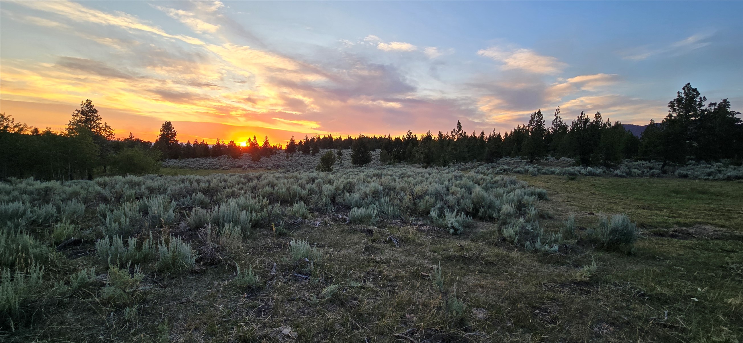 Tract 10 Hall Creek Property Photo 19