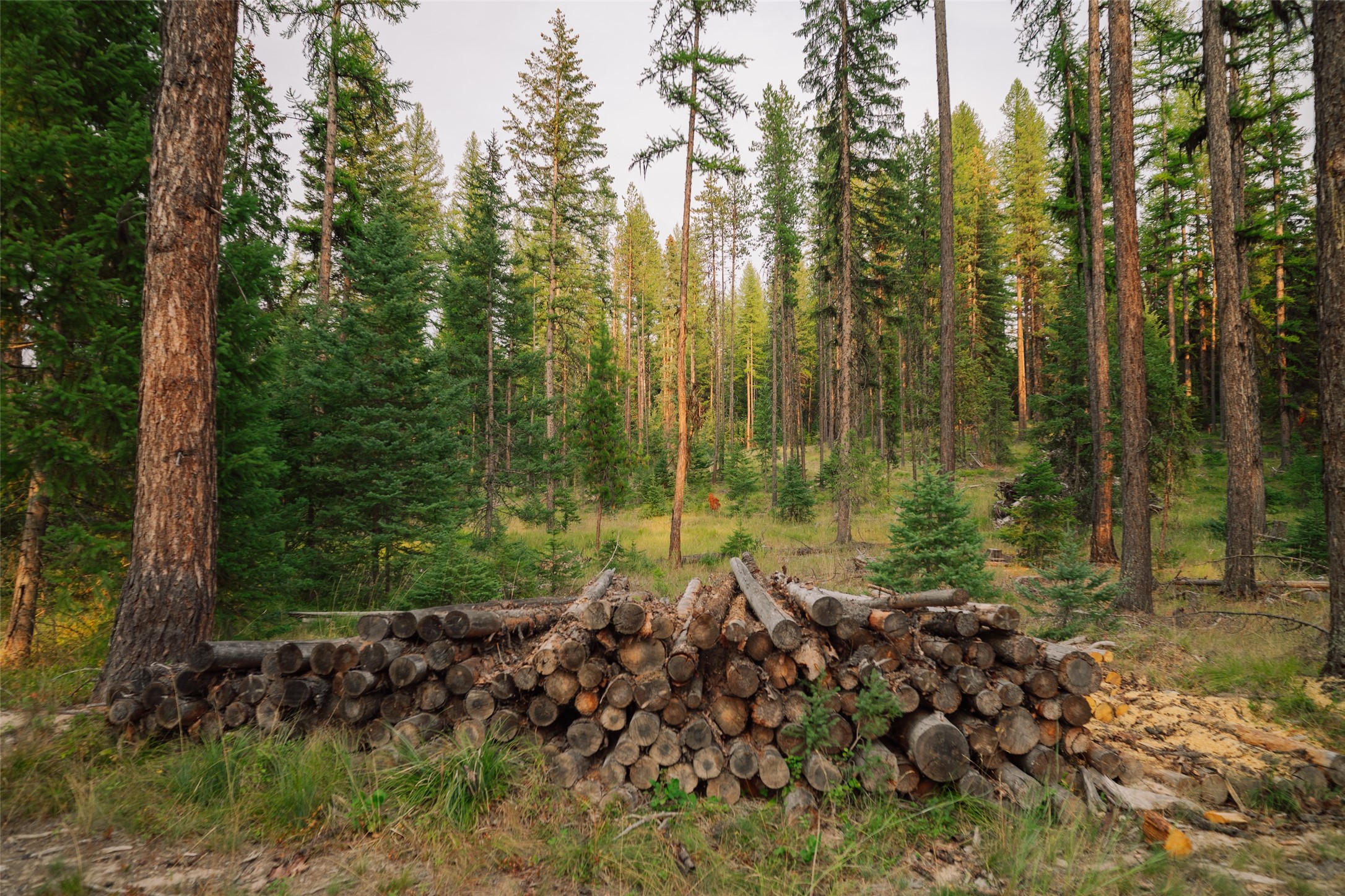Nhn Styler Drive Property Photo 14