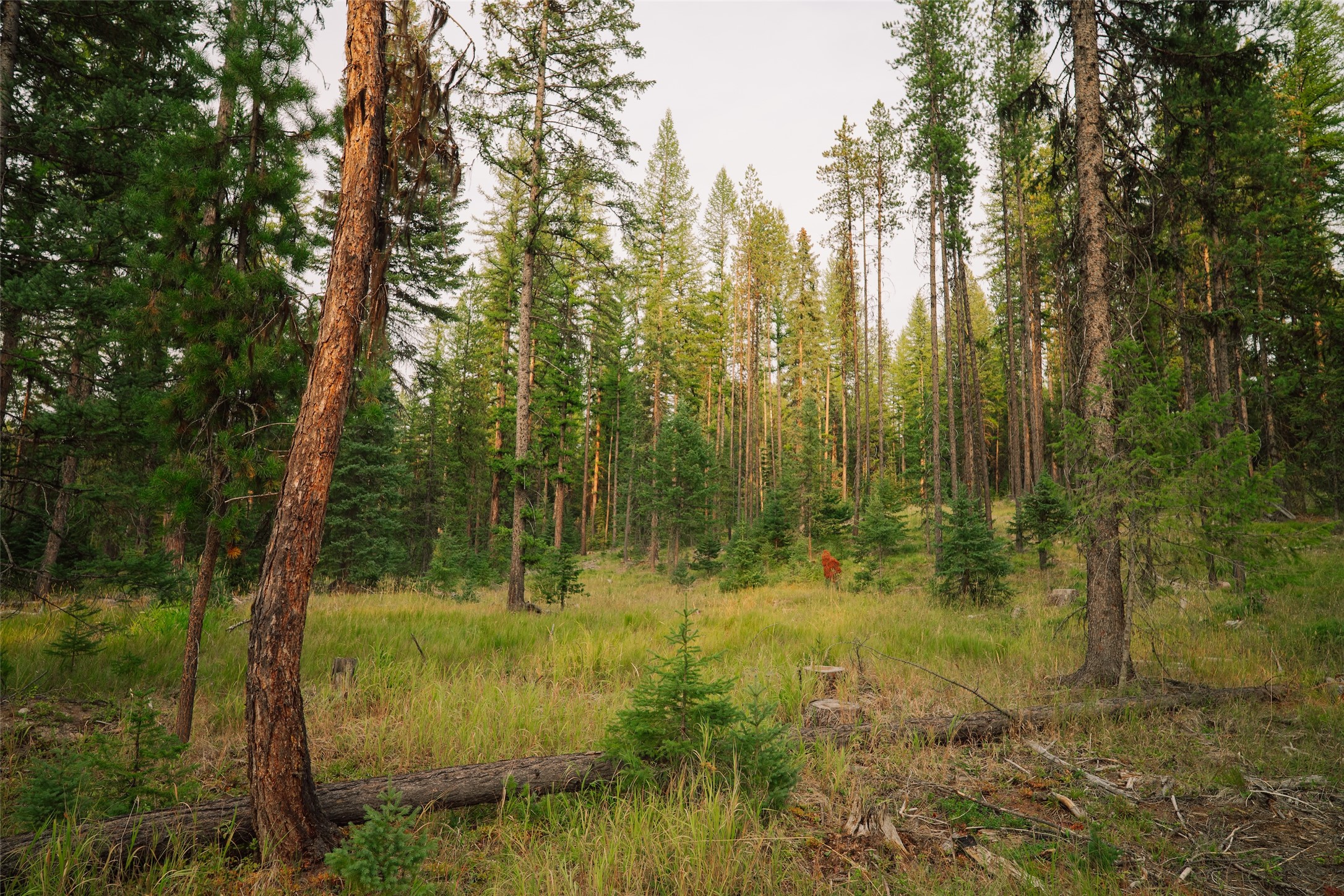 Nhn Styler Drive Property Photo 15