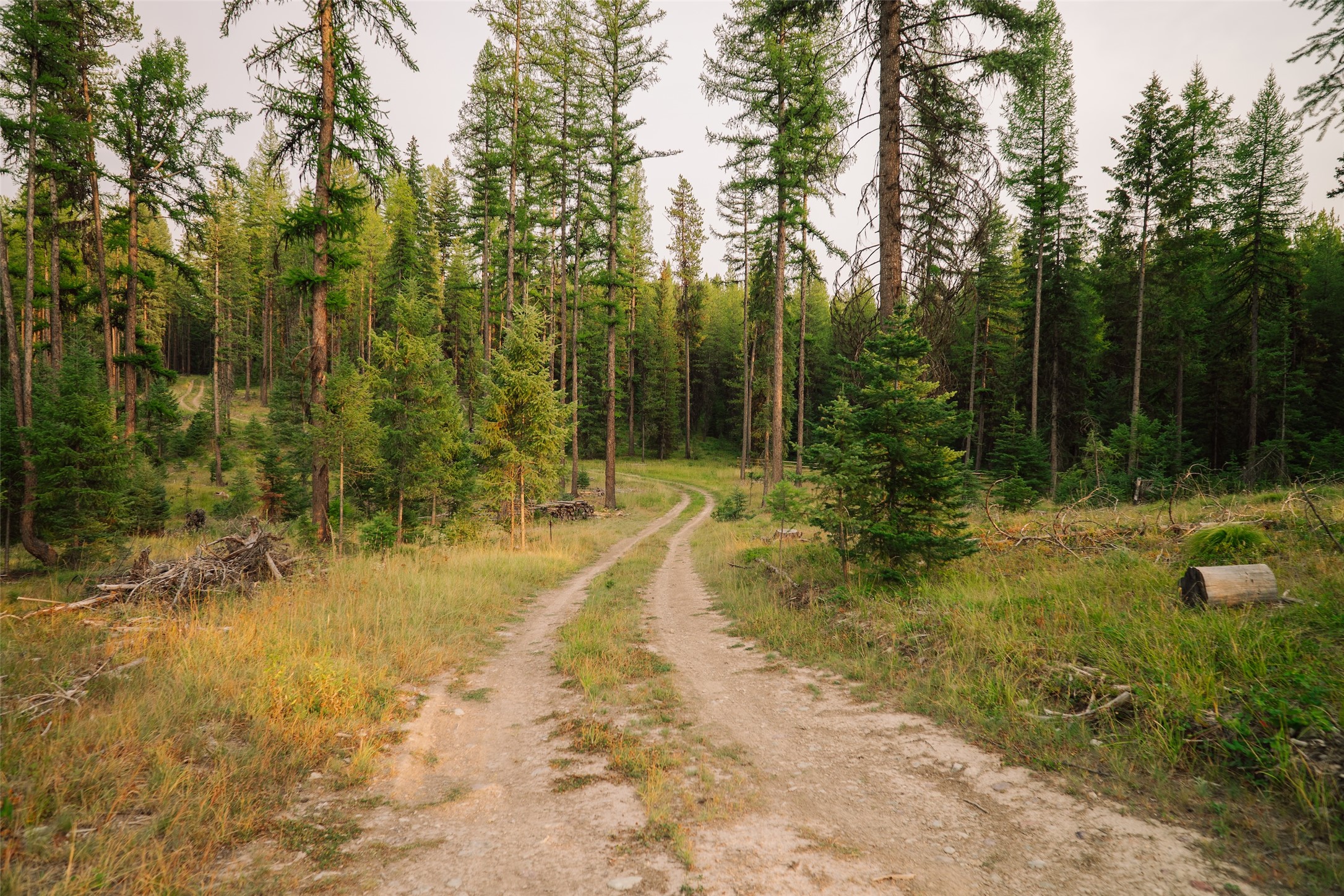 Nhn Styler Drive Property Photo 17