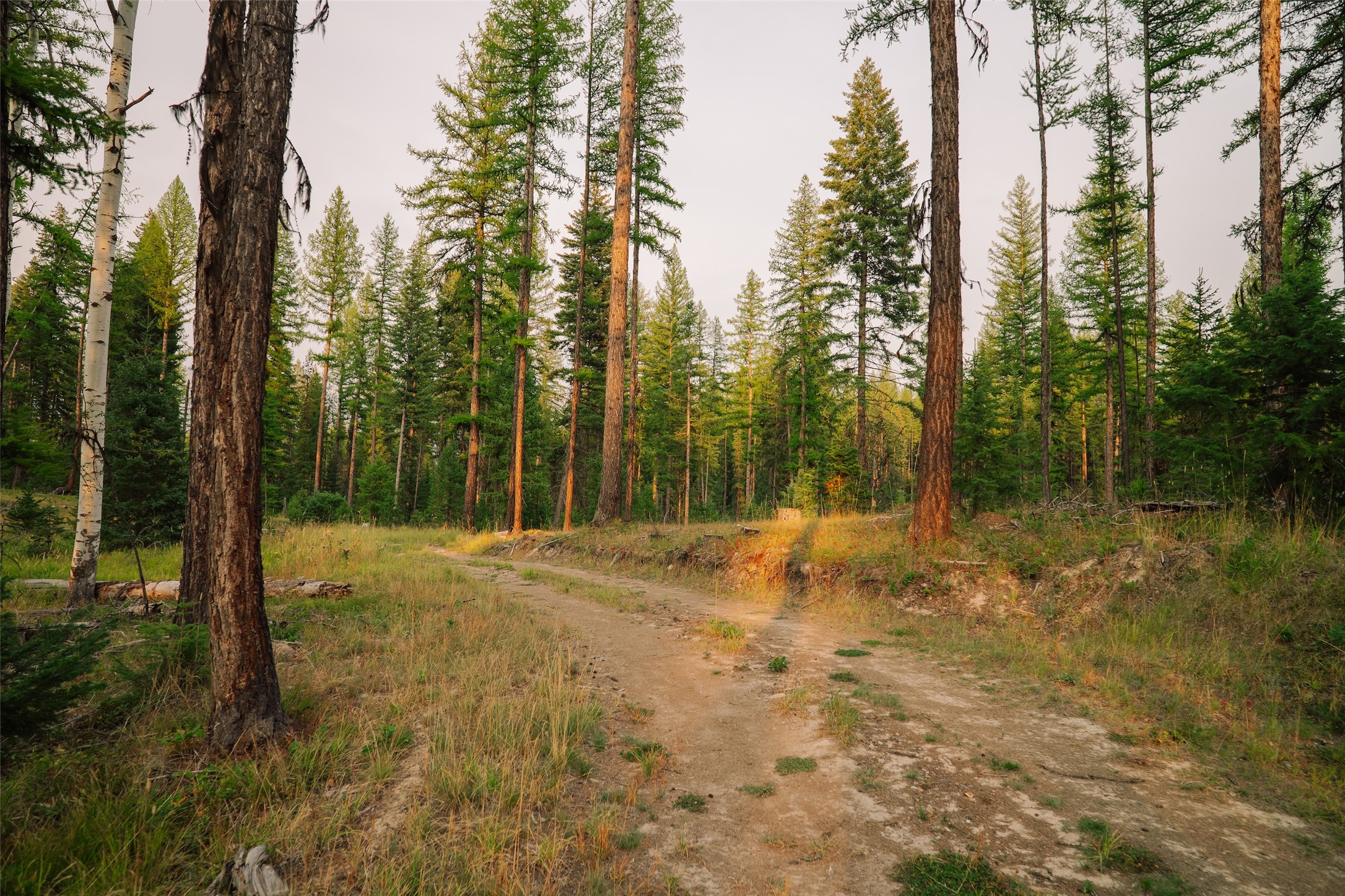 Nhn Styler Drive Property Photo 19