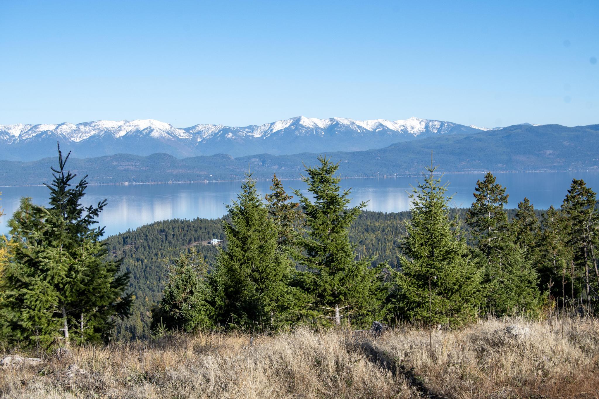 367 Ridge Line Drive Property Photo 1