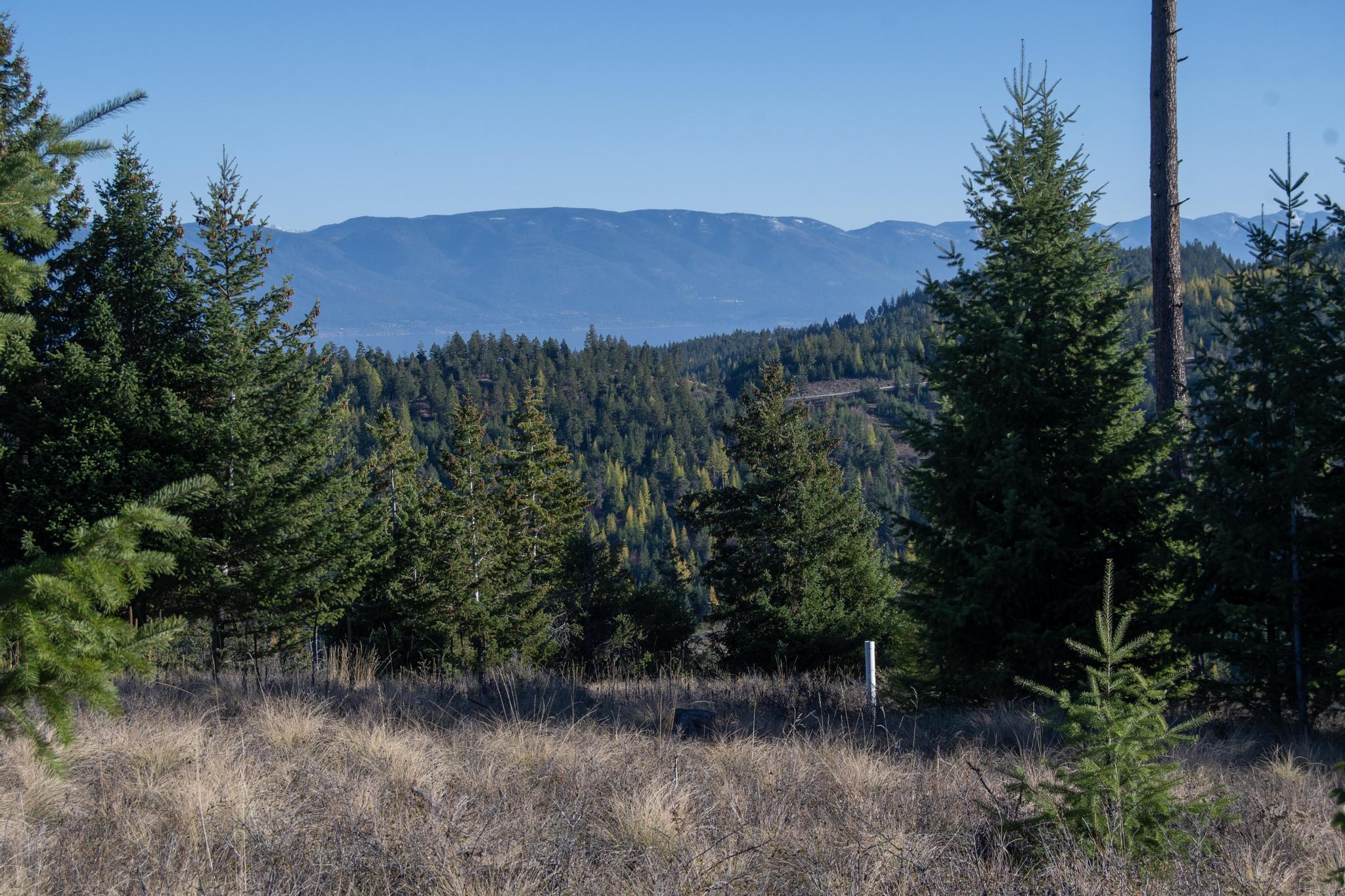 367 Ridge Line Drive Property Photo 2