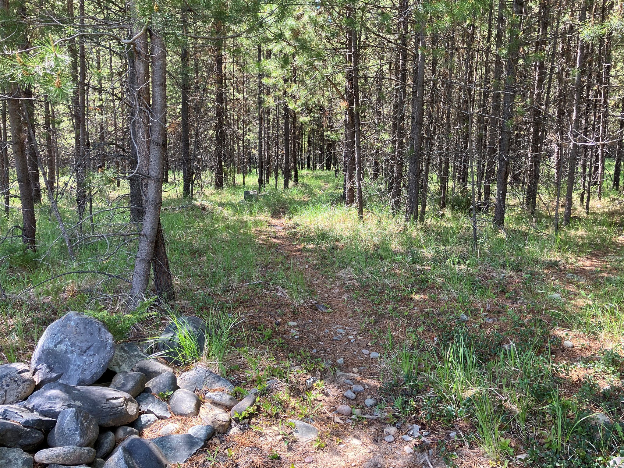 1606 N Fork Yaak Road Property Photo 79