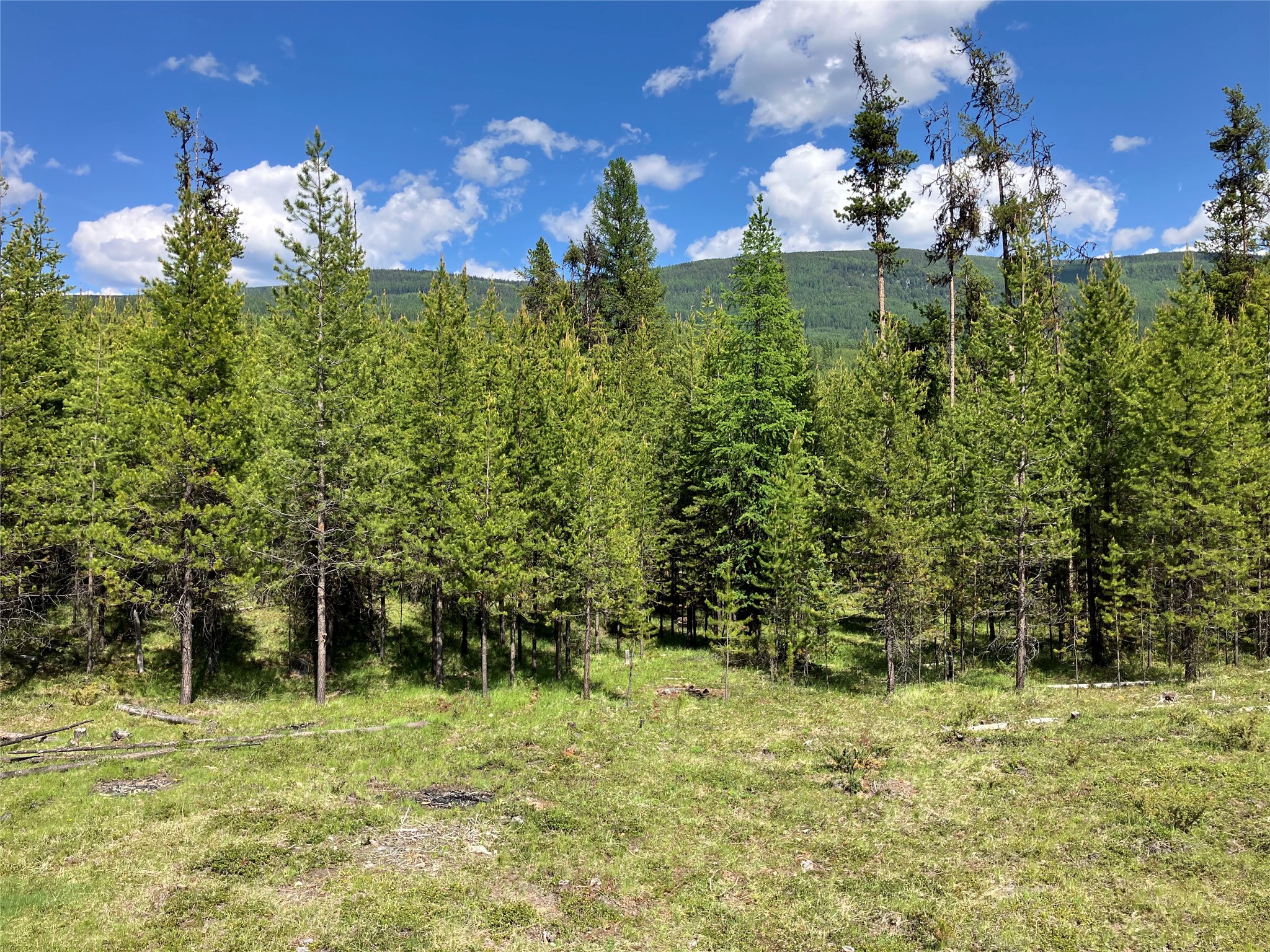 1606 N Fork Yaak Road Property Photo 80