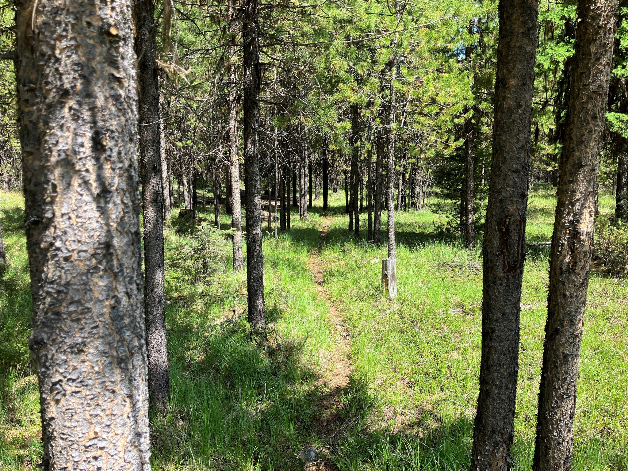 1606 N Fork Yaak Road Property Photo 81