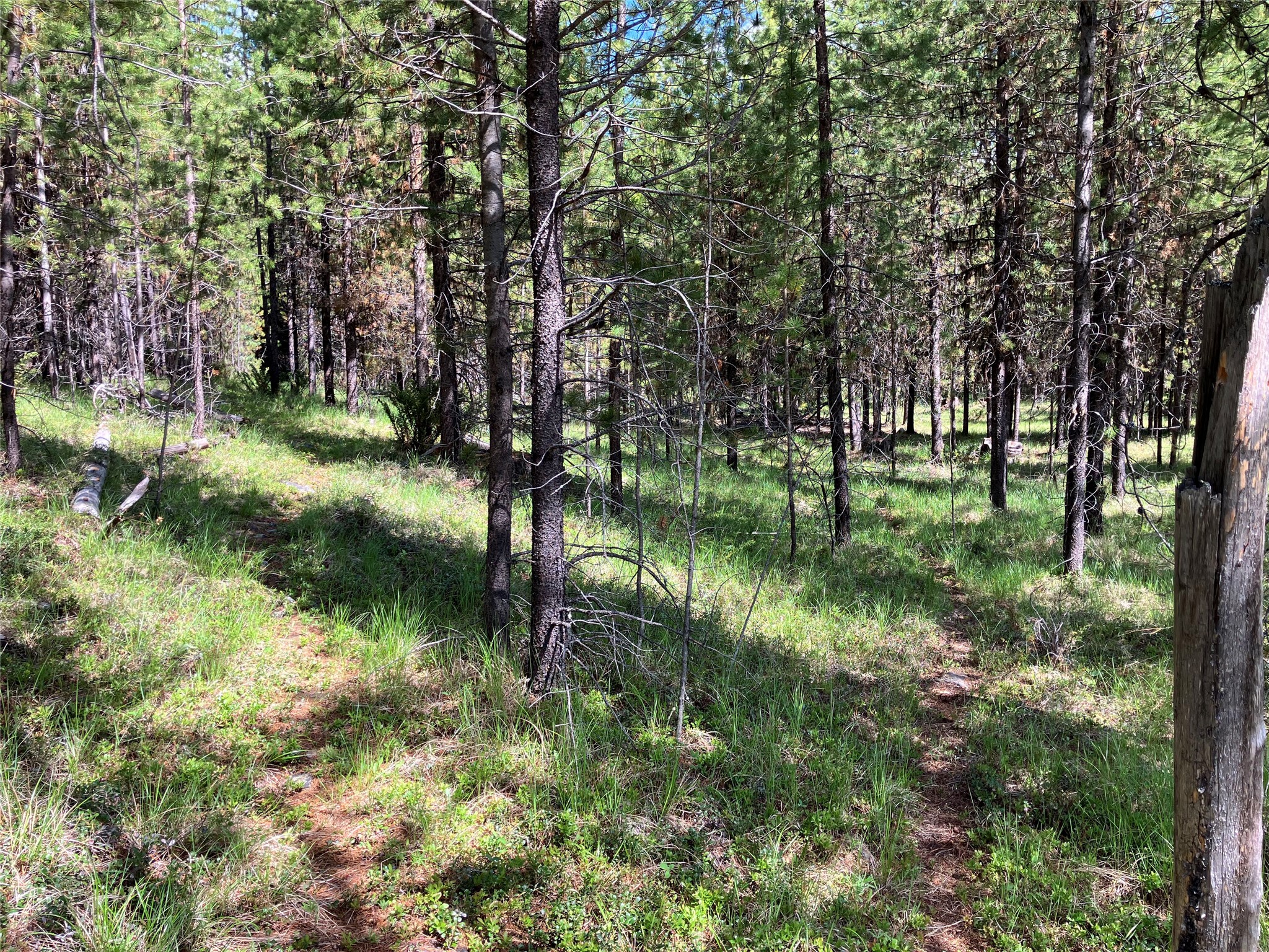 1606 N Fork Yaak Road Property Photo 82