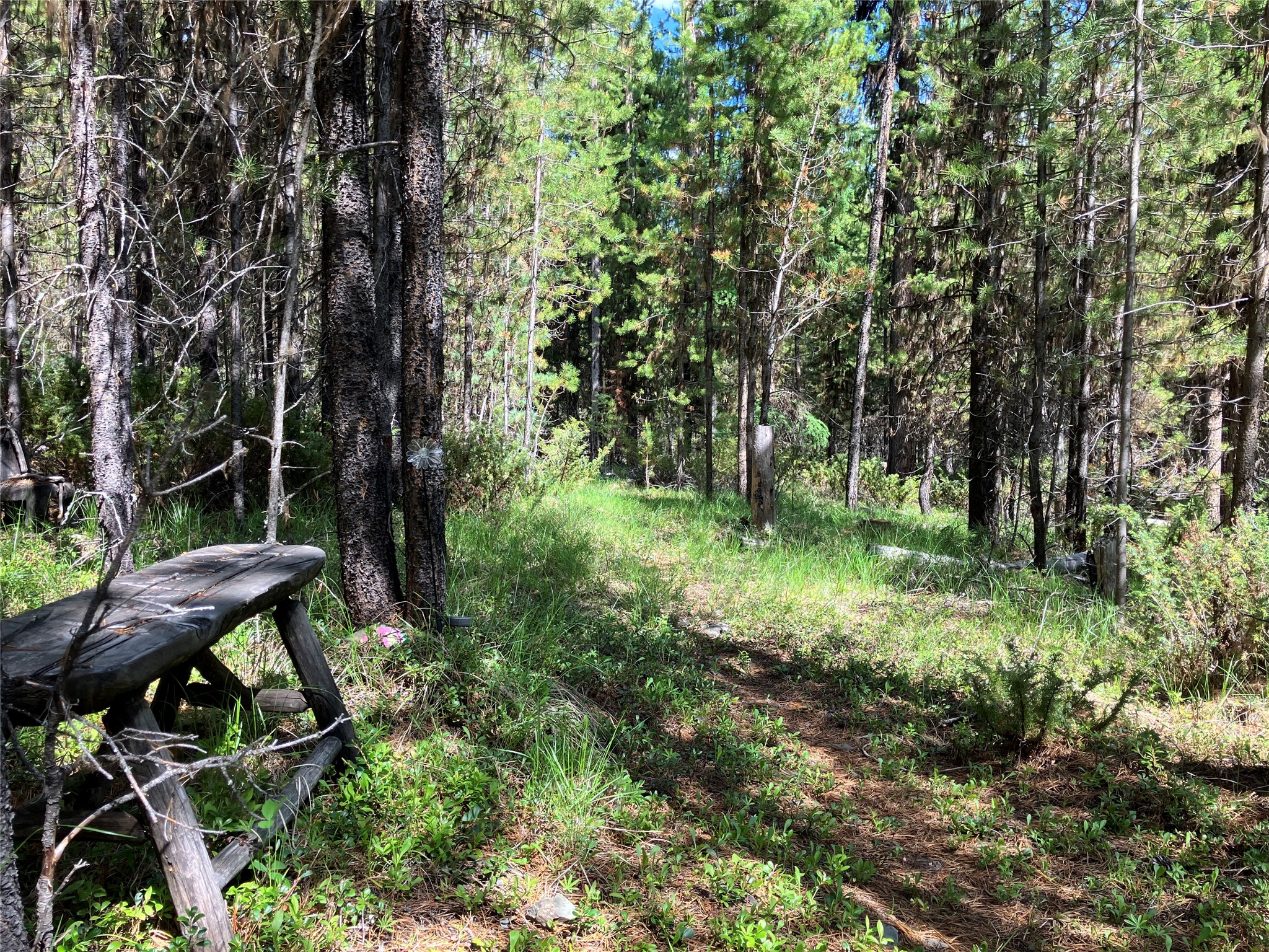 1606 N Fork Yaak Road Property Photo 83