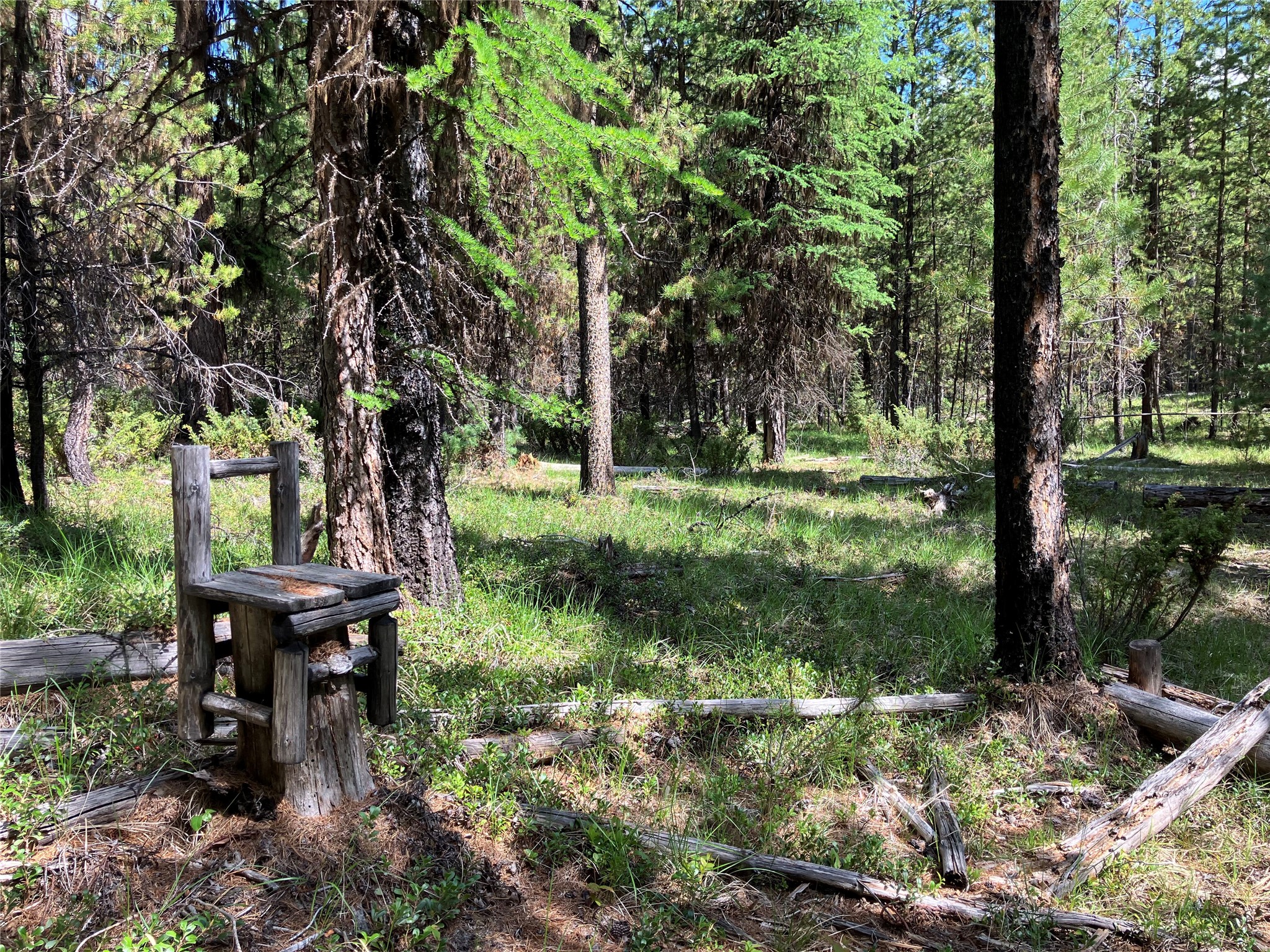 1606 N Fork Yaak Road Property Photo 84