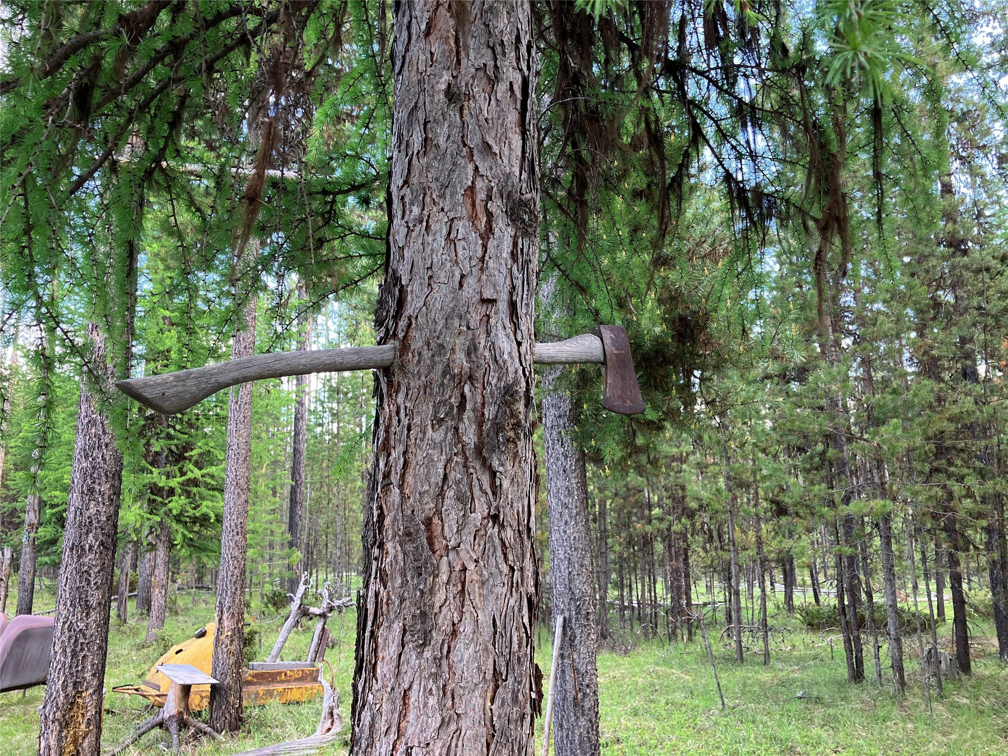 1606 N Fork Yaak Road Property Photo 85