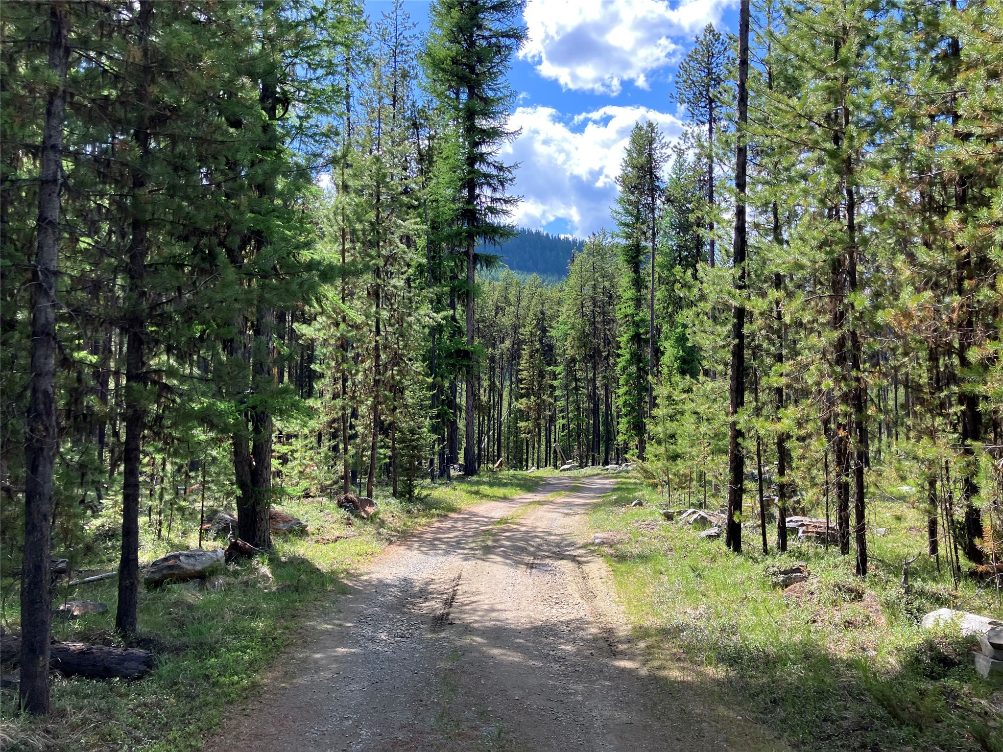 1606 N Fork Yaak Road Property Photo 89