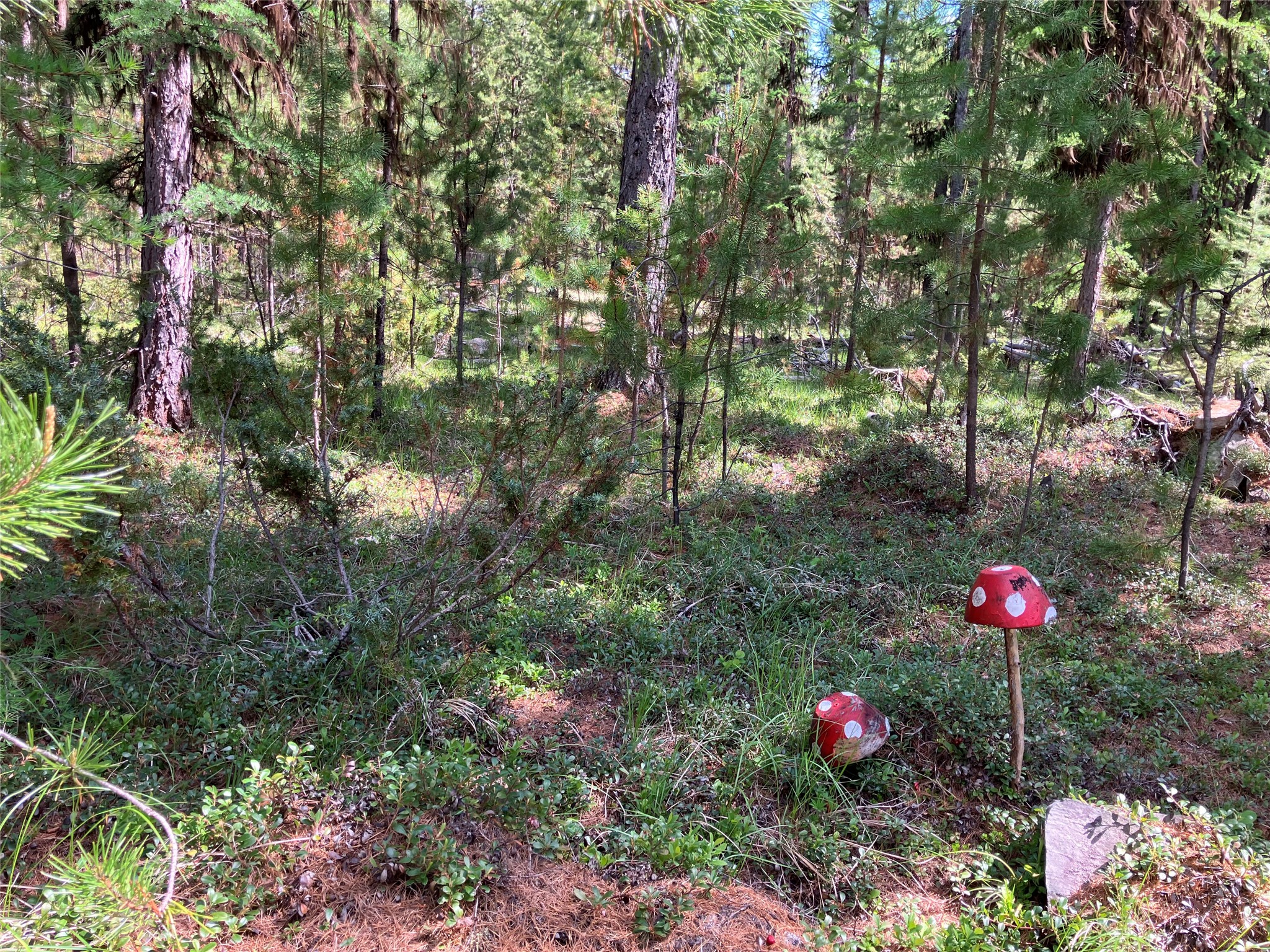 1606 N Fork Yaak Road Property Photo 90