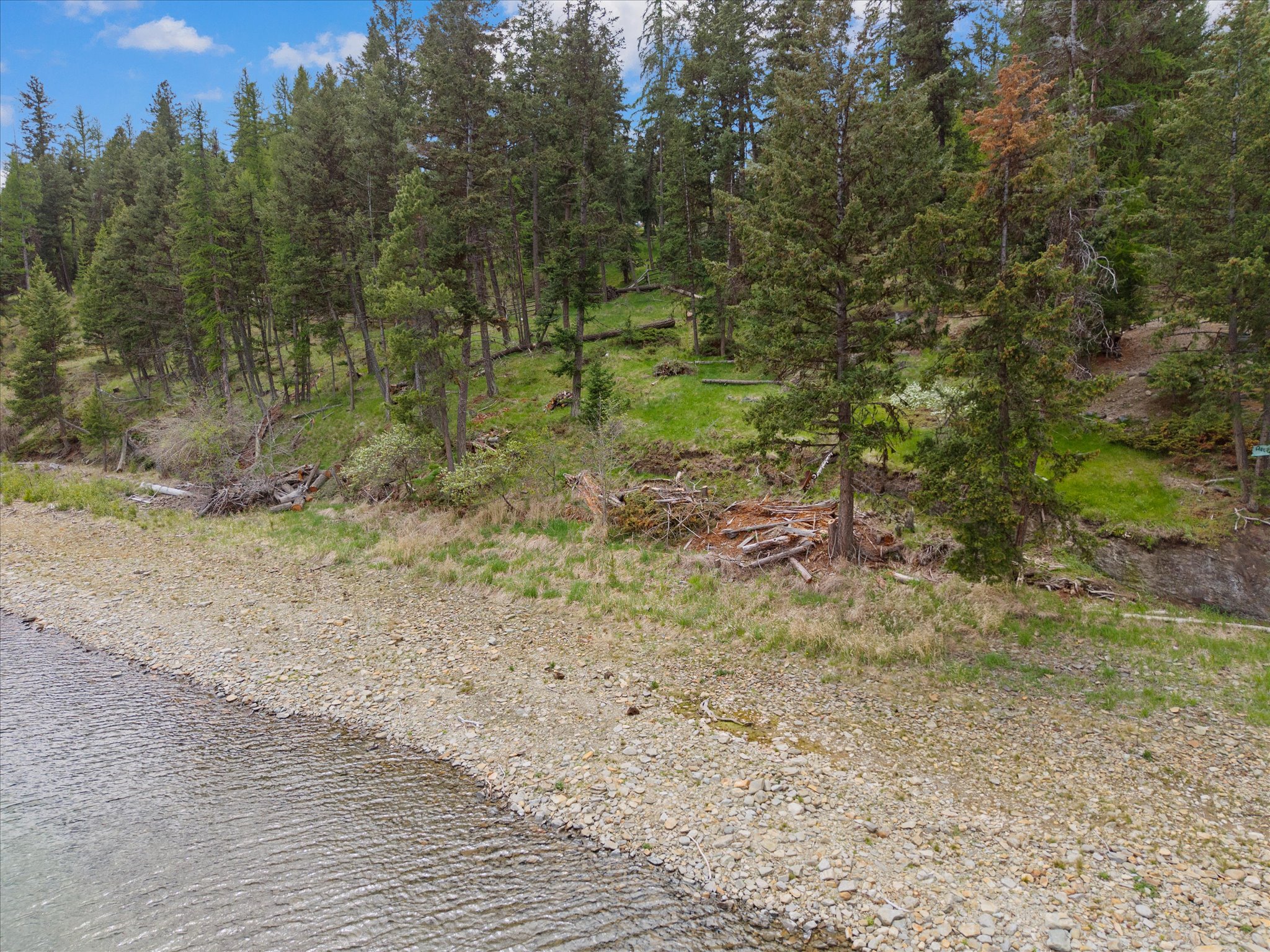 1015 Lodgepole Drive Property Photo 5