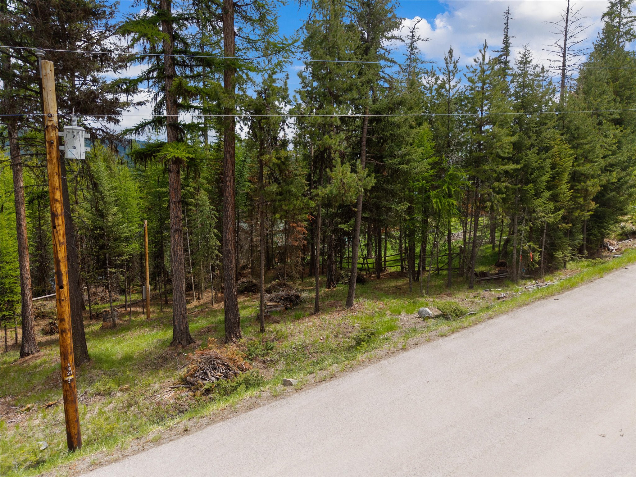 1015 Lodgepole Drive Property Photo 7