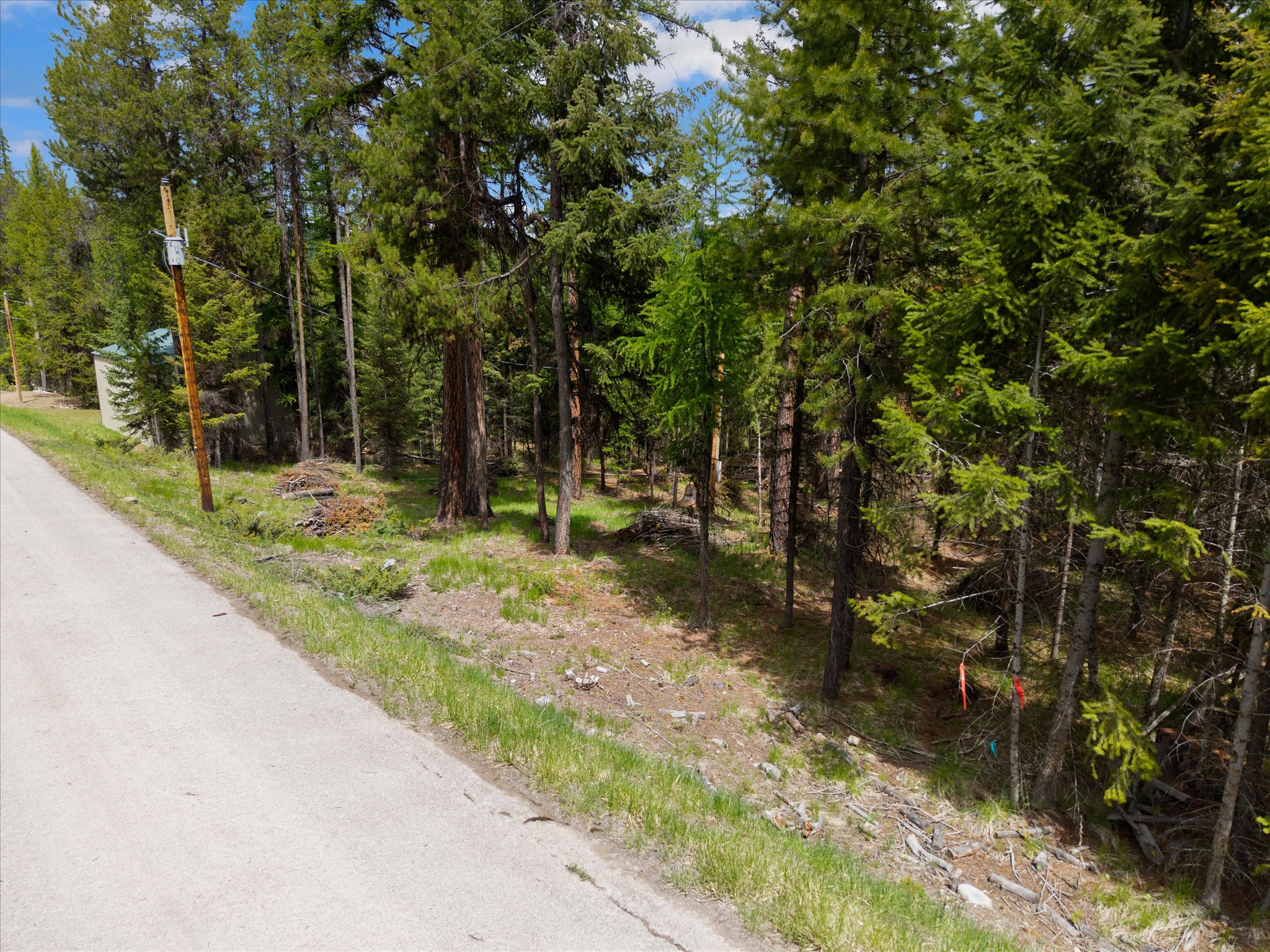 1015 Lodgepole Drive Property Photo 8
