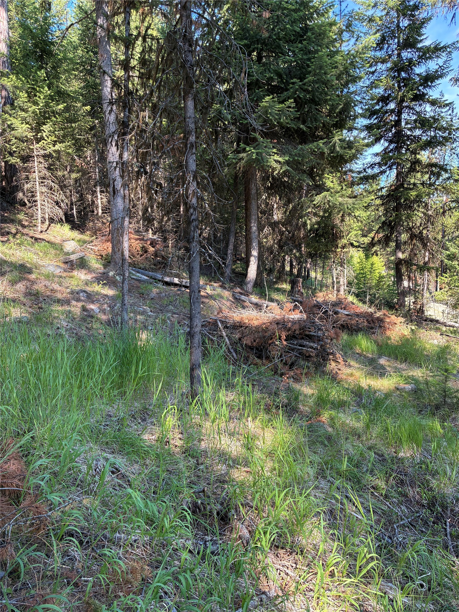 1015 Lodgepole Drive Property Photo 19