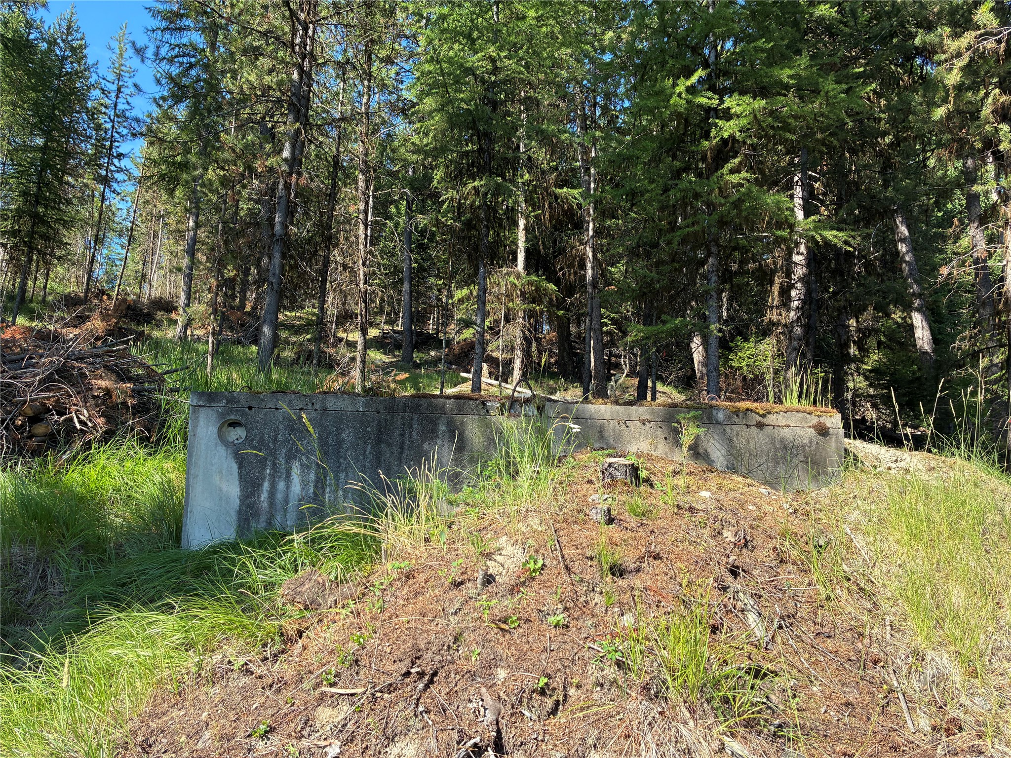 1015 Lodgepole Drive Property Photo 22