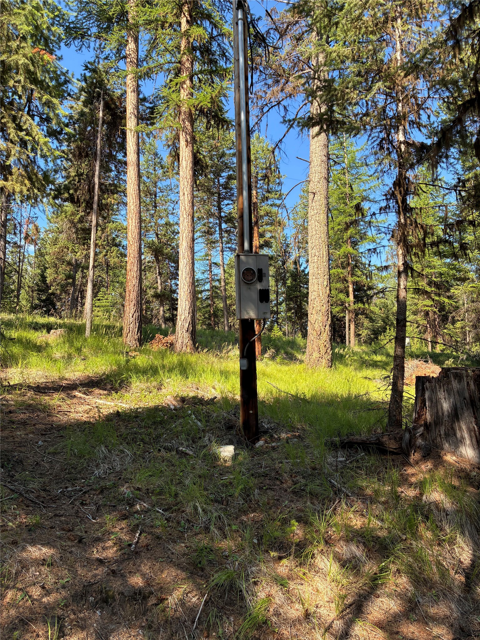 1015 Lodgepole Drive Property Photo 25