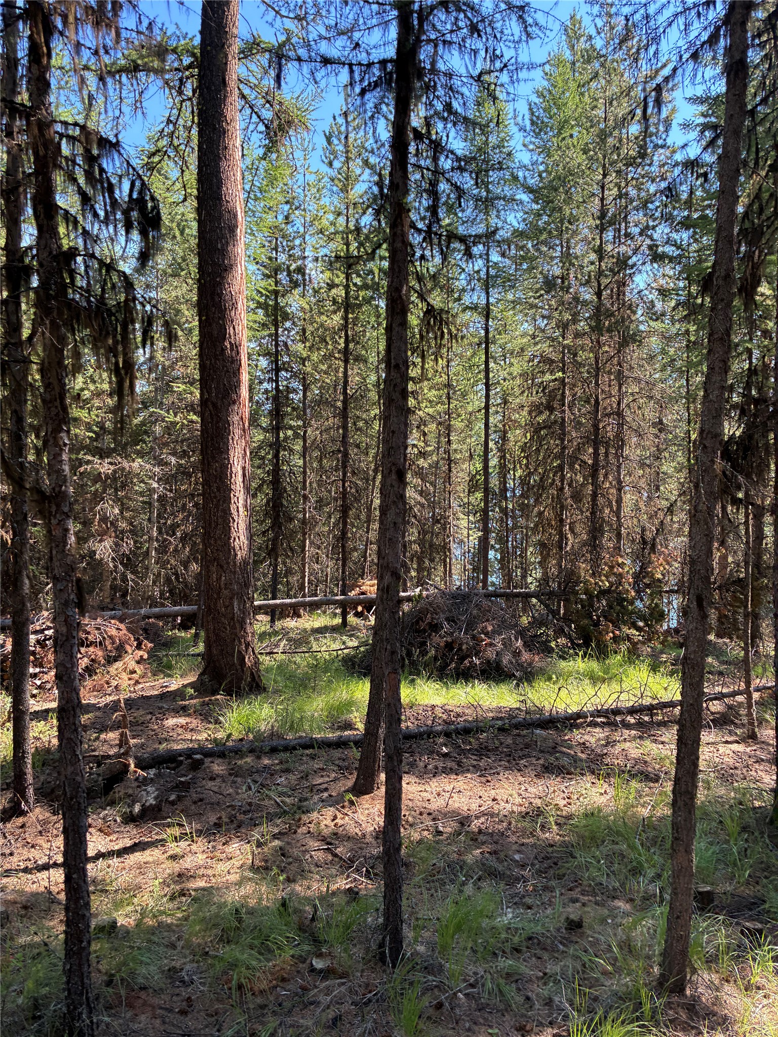 1015 Lodgepole Drive Property Photo 26