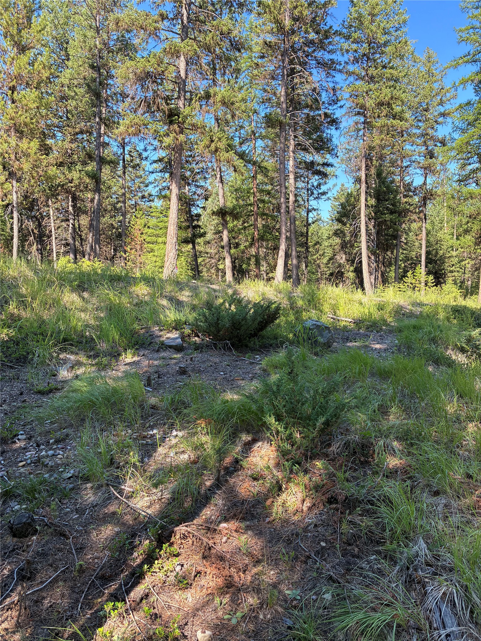 1015 Lodgepole Drive Property Photo 27