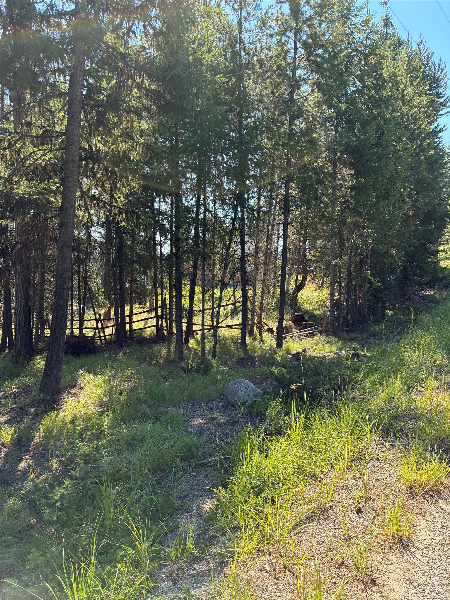 1015 Lodgepole Drive Property Photo 28
