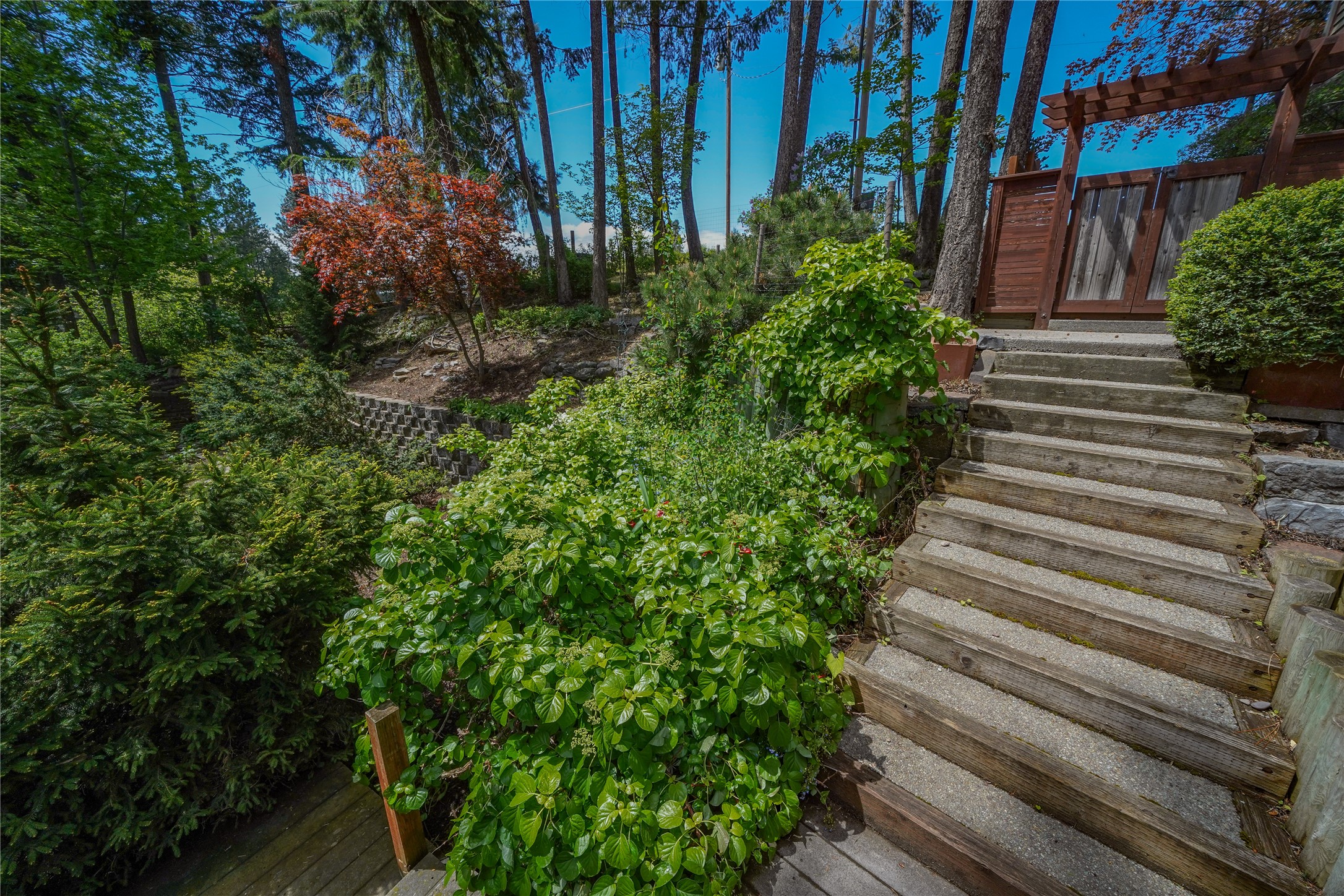 14458 Cherry Drive Property Photo 37