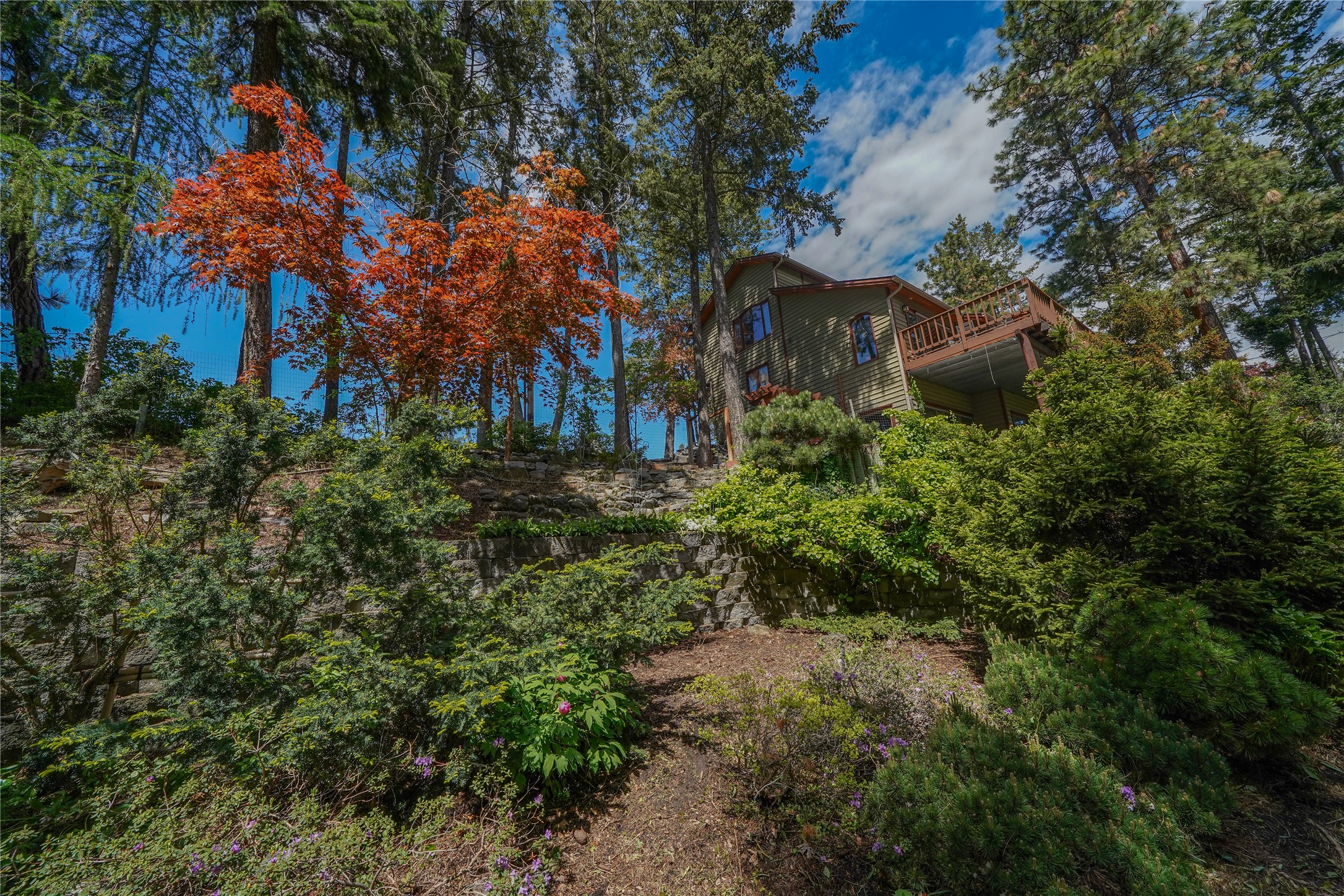 14458 Cherry Drive Property Photo 44