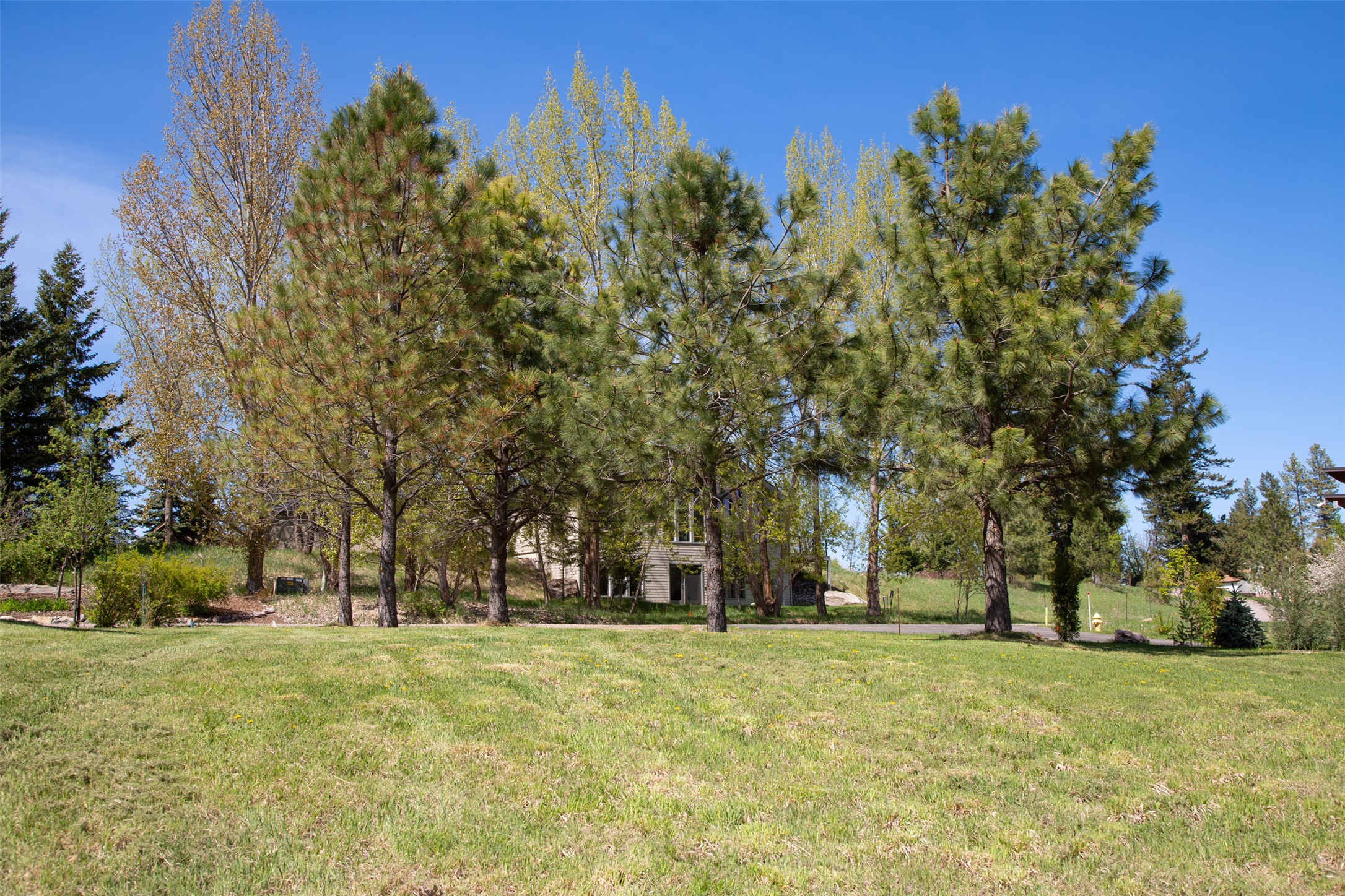 558 Talbot Road Property Photo 15