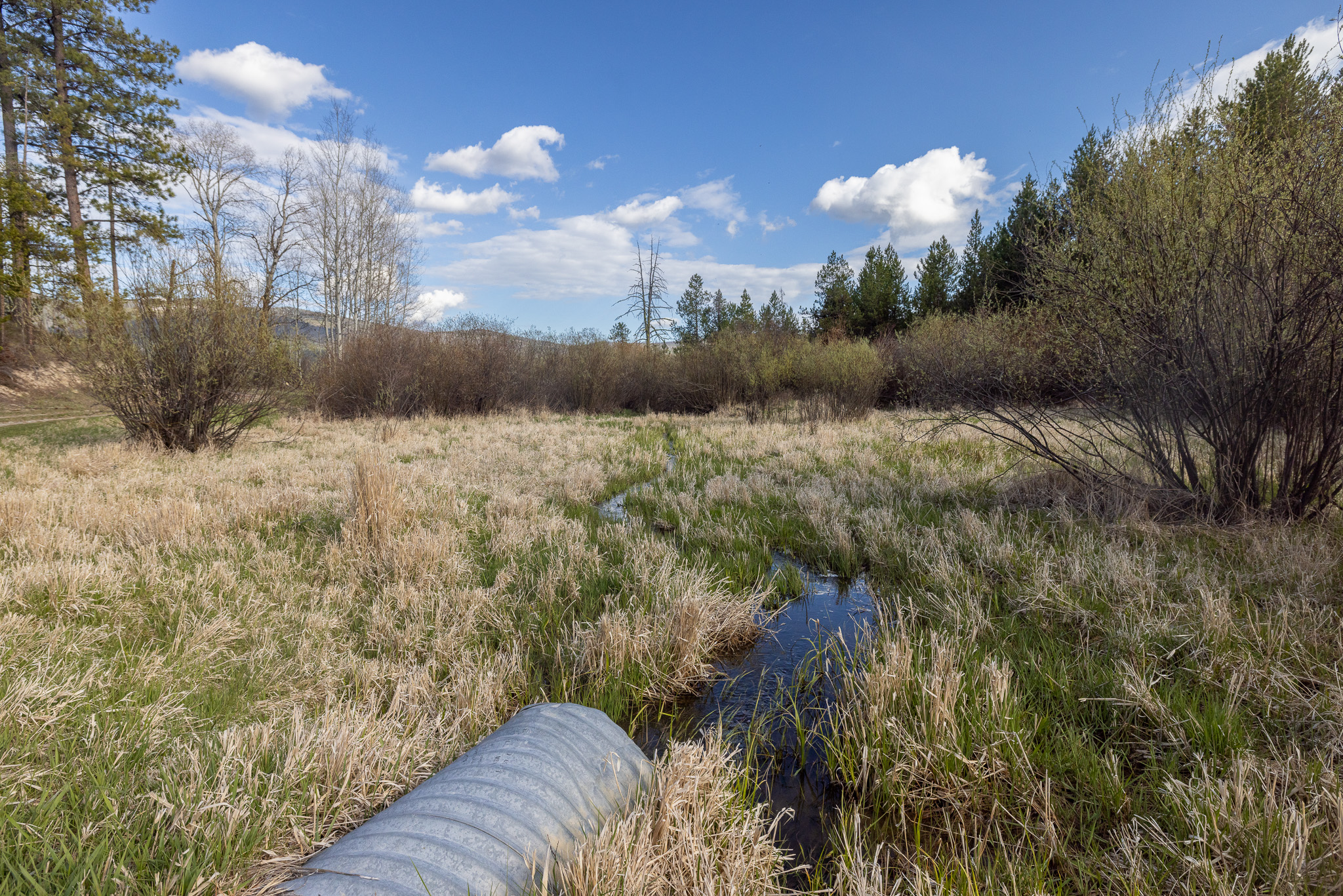 3180 Browns Meadow Road Property Photo 63