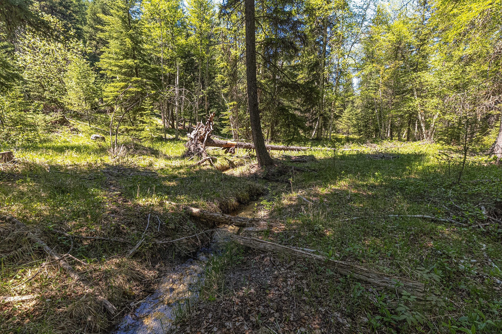 124 Soaring Eagle Trail Property Photo 66