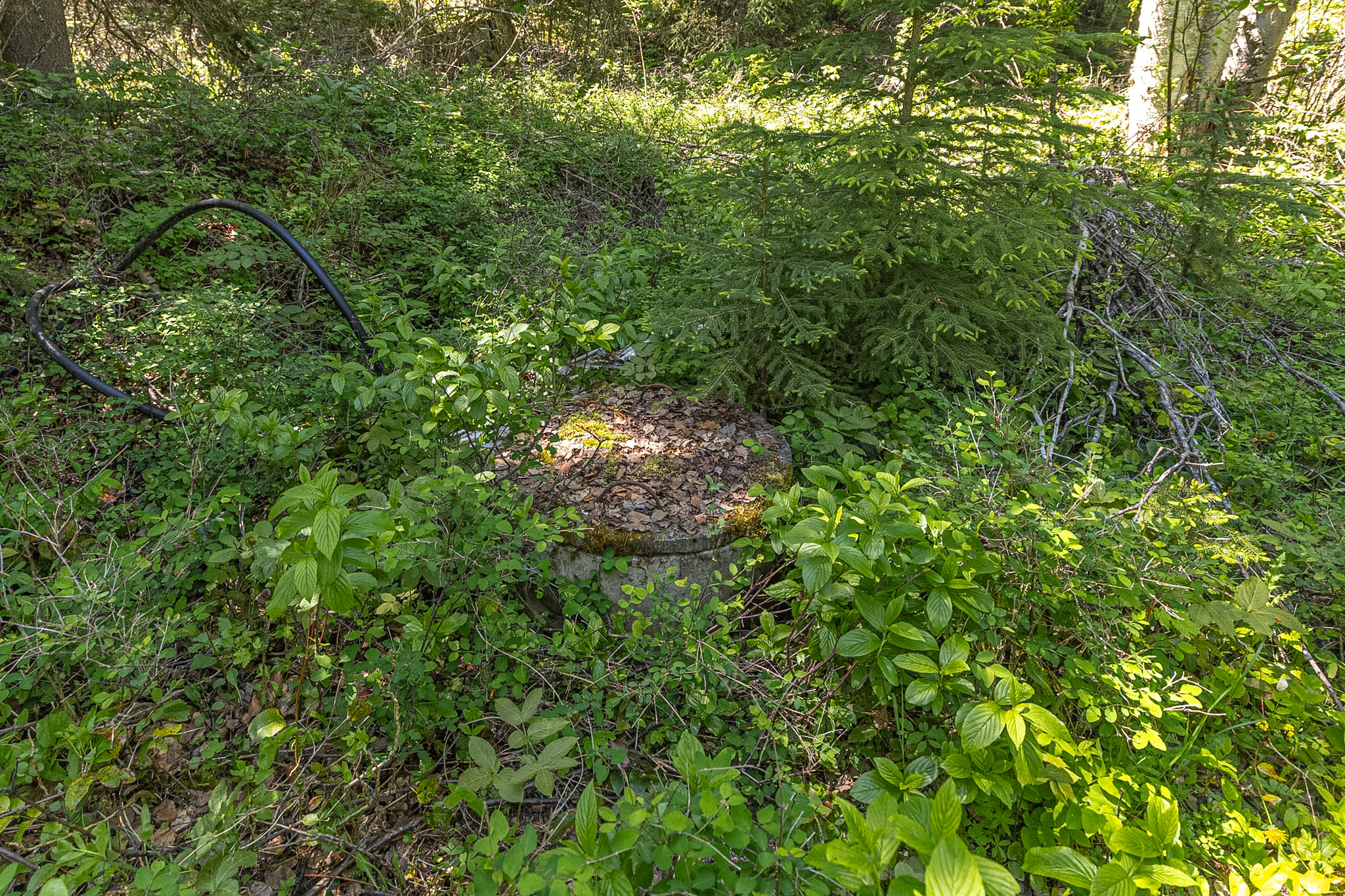 124 Soaring Eagle Trail Property Photo 69