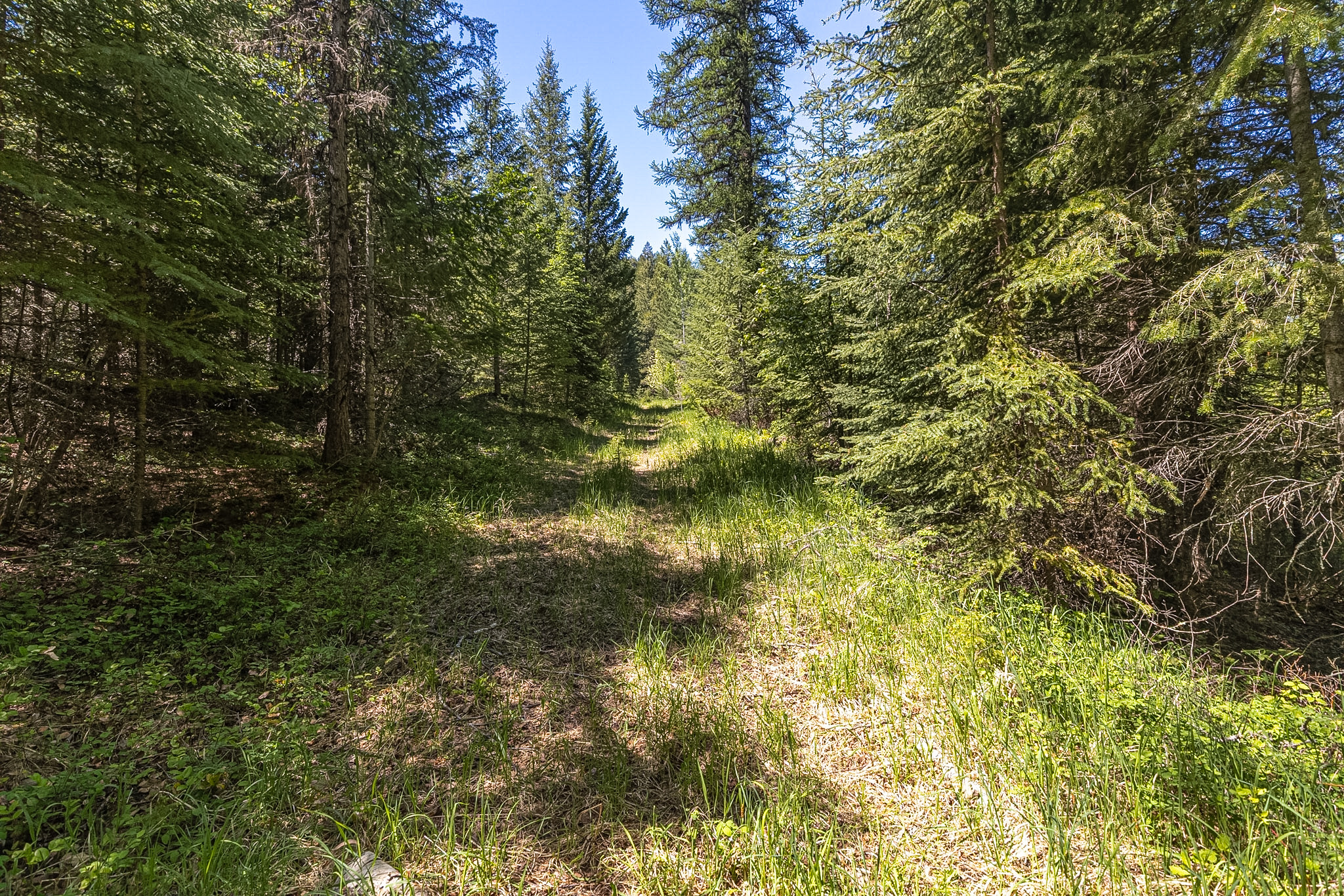 124 Soaring Eagle Trail Property Photo 70