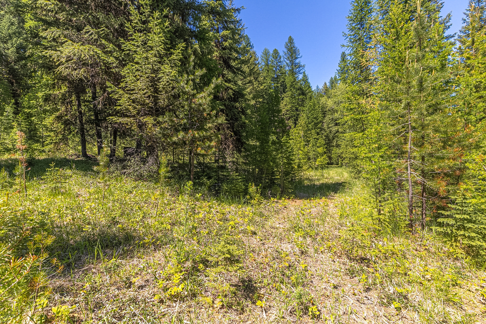 124 Soaring Eagle Trail Property Photo 71