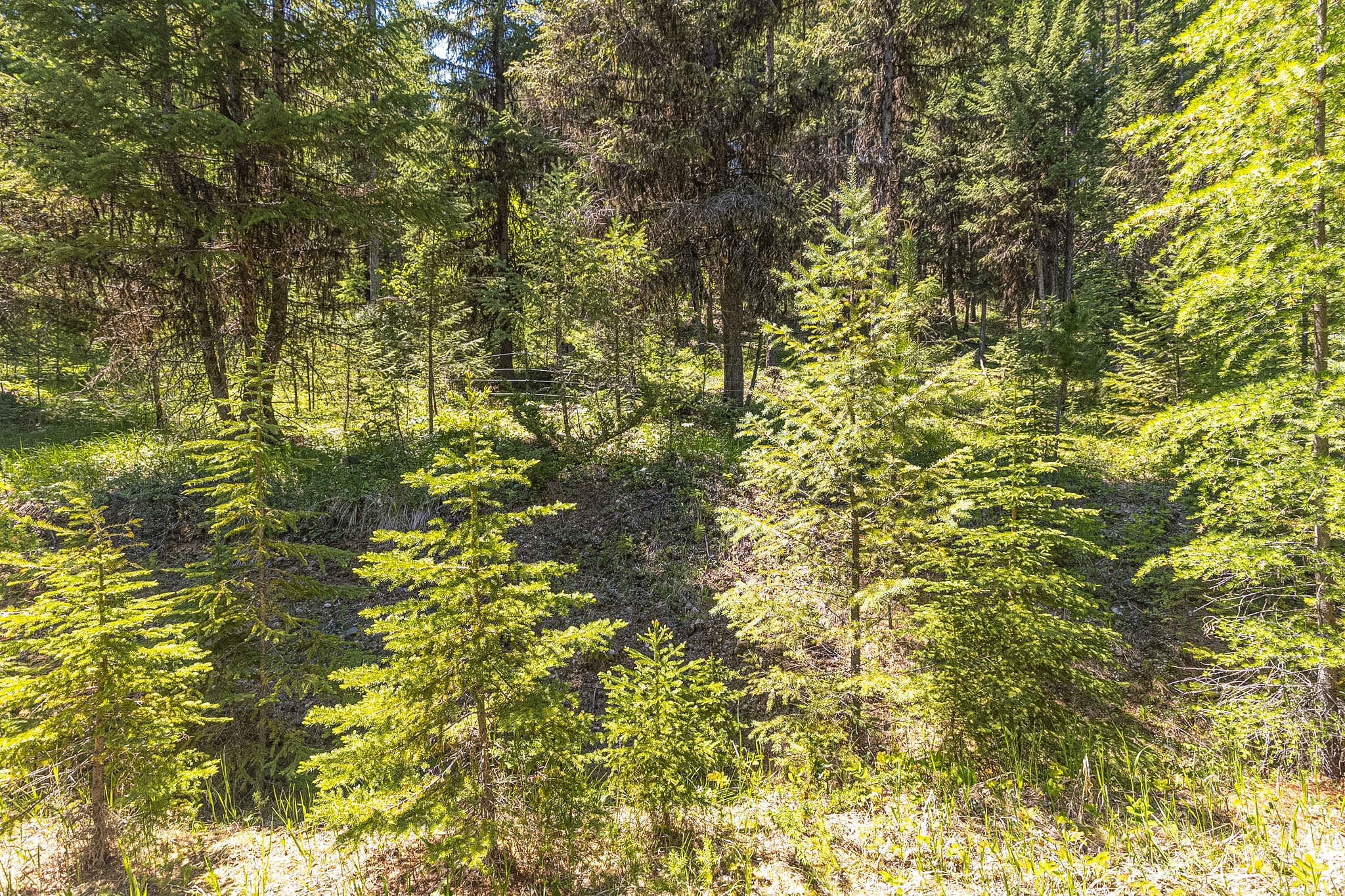 124 Soaring Eagle Trail Property Photo 72