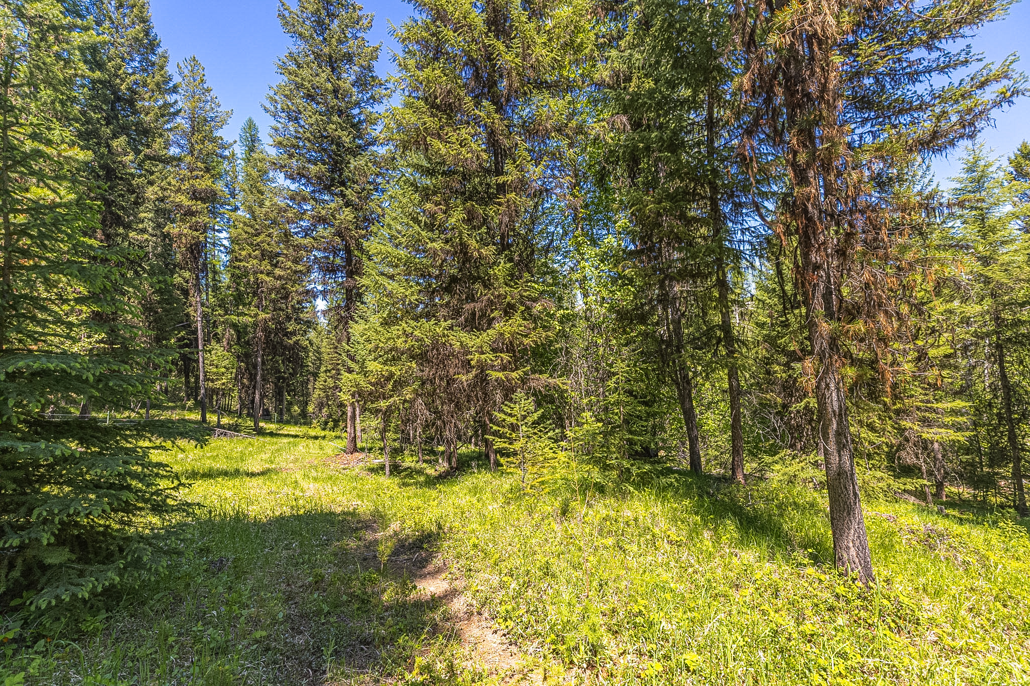 124 Soaring Eagle Trail Property Photo 73