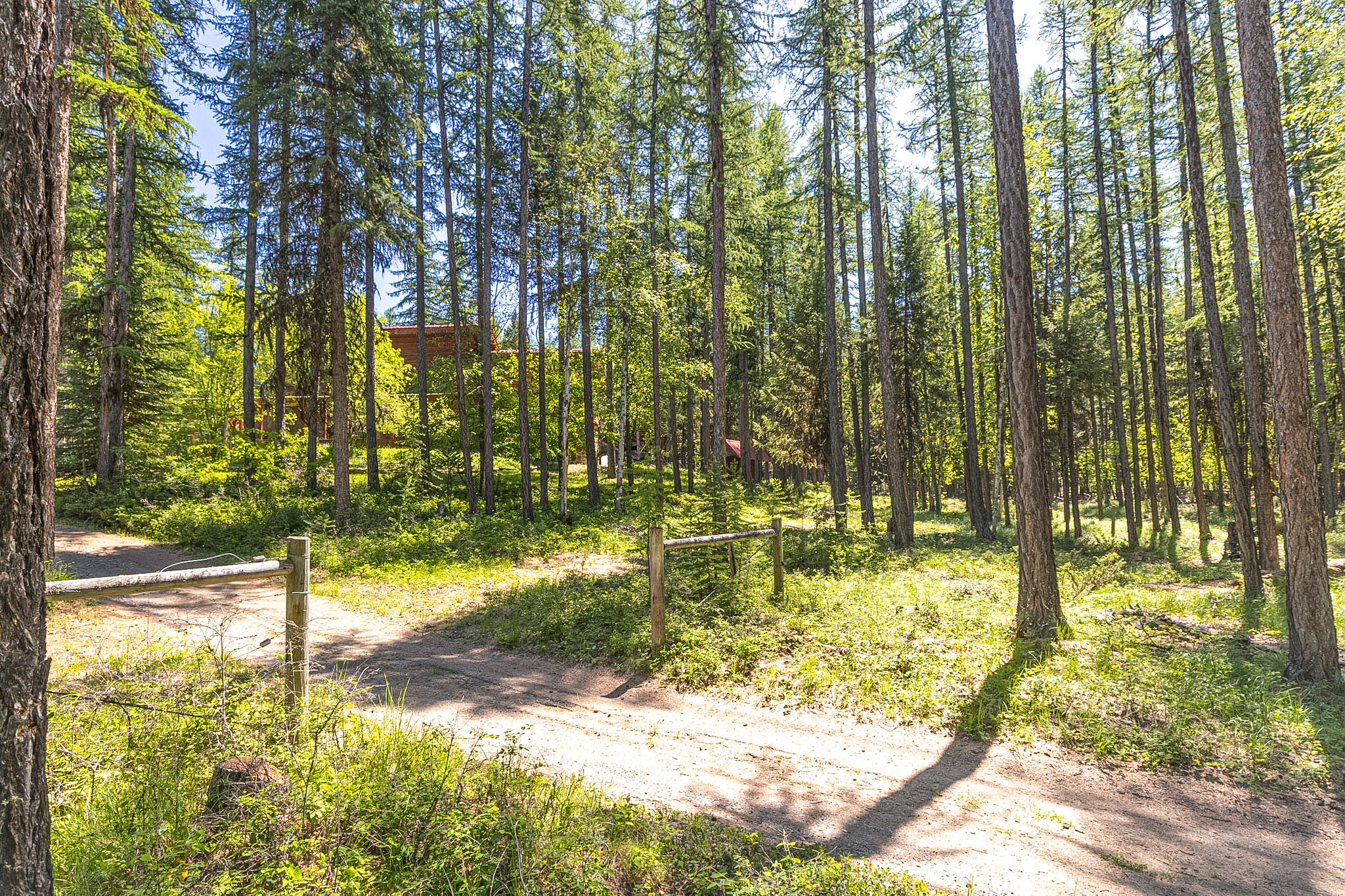 124 Soaring Eagle Trail Property Photo 75