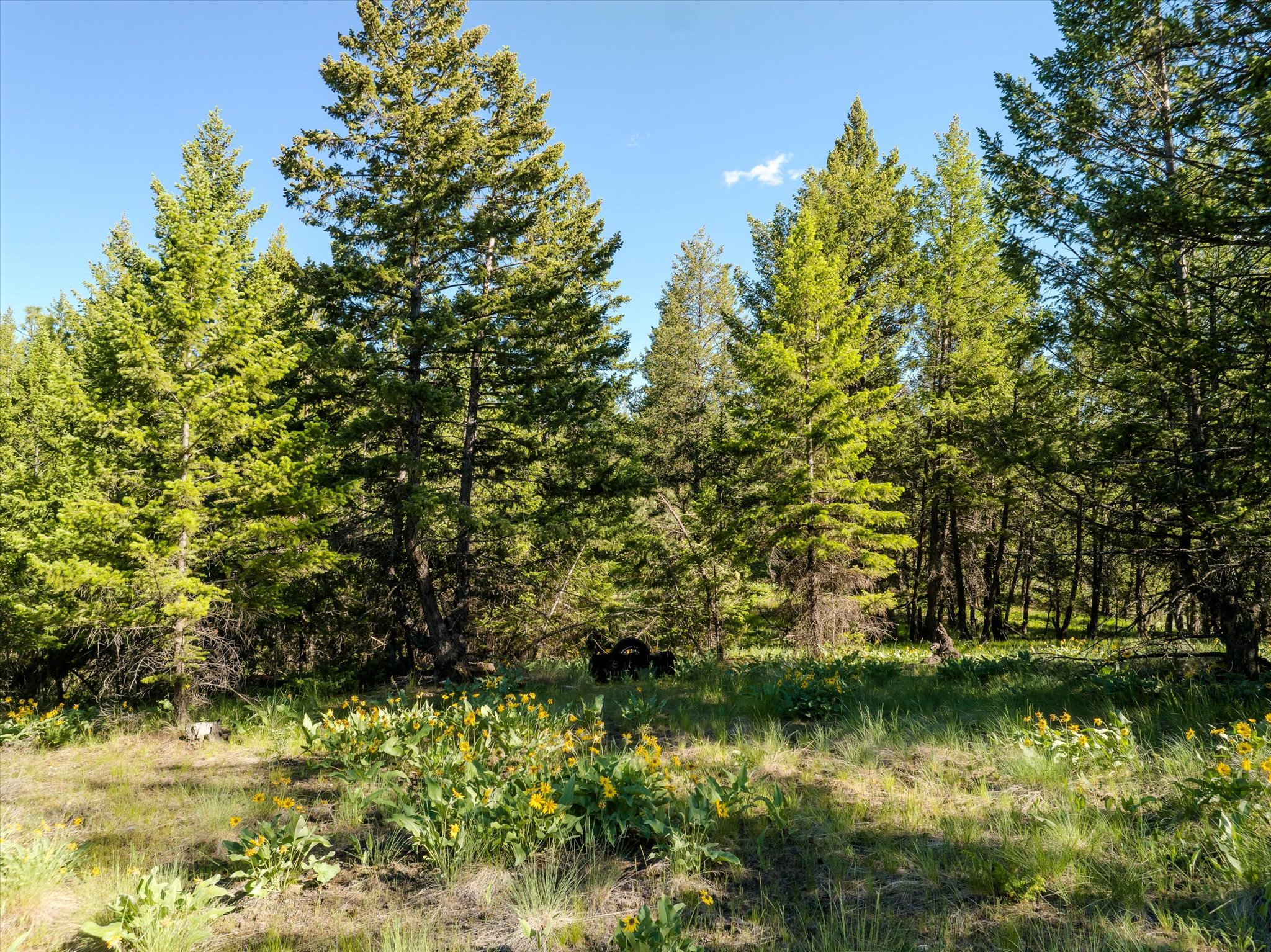 747 Grand View Drive Property Photo 11