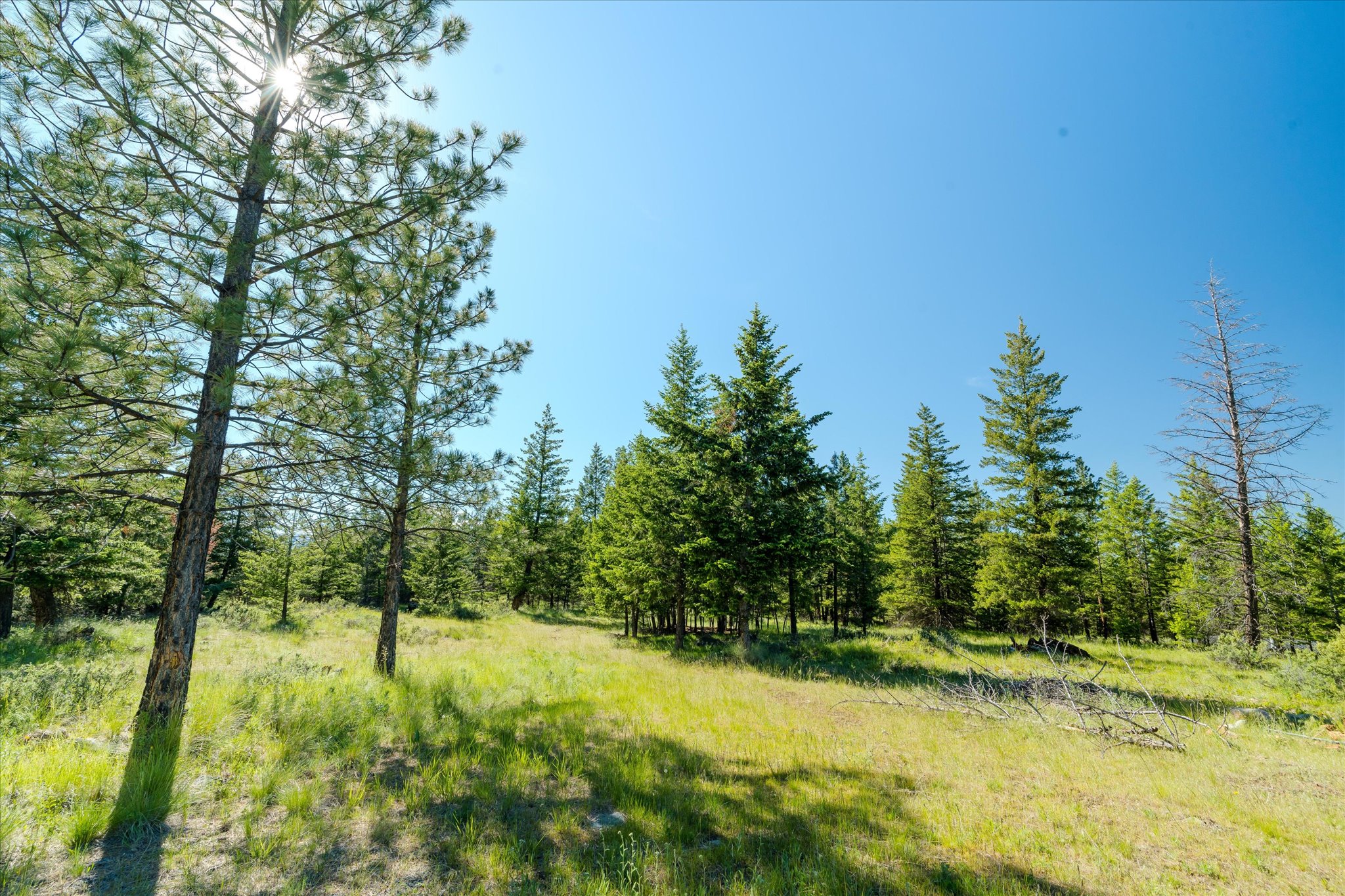 747 Grand View Drive Property Photo 18