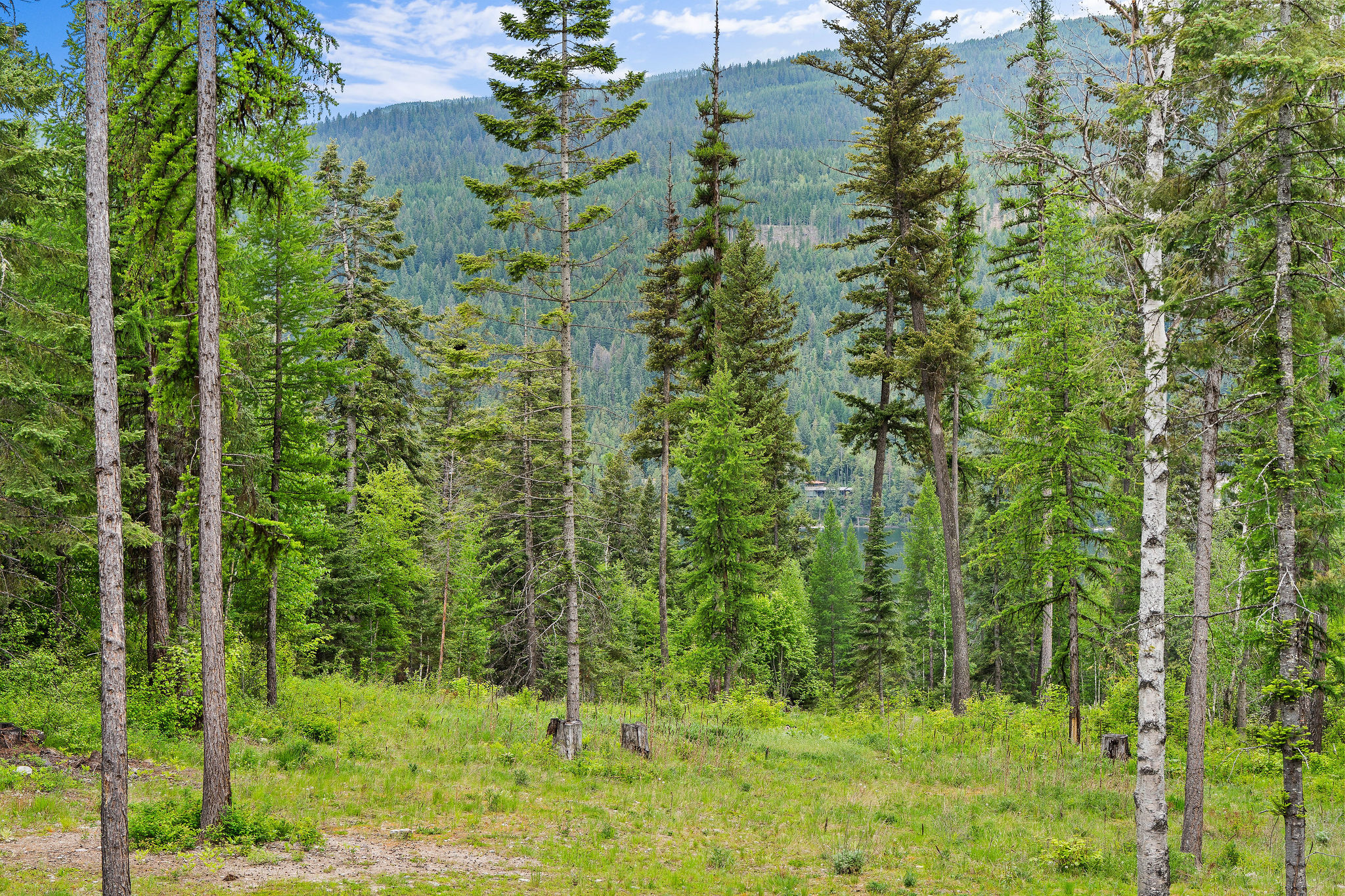 14051 Big Rock Way Property Photo 65