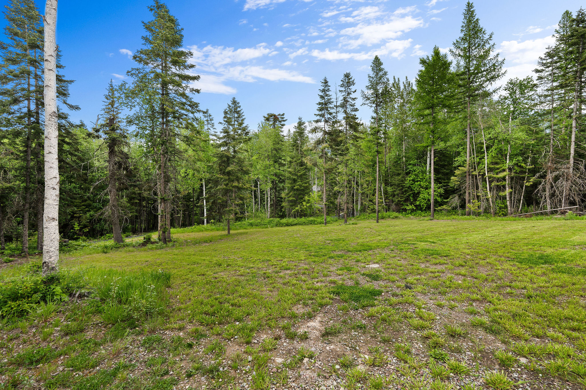 14051 Big Rock Way Property Photo 78