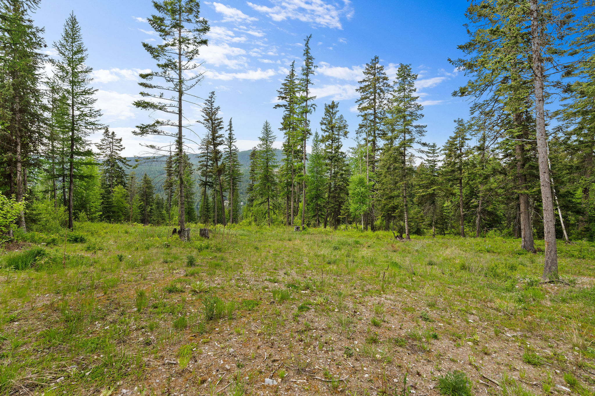 14051 Big Rock Way Property Photo 79