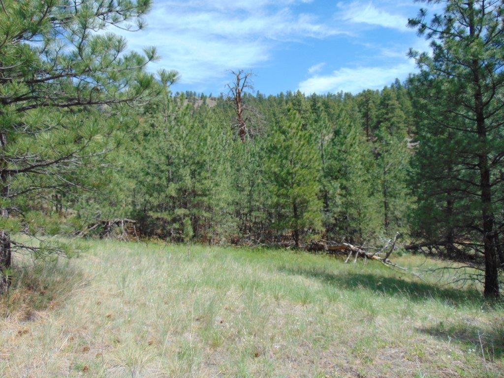 19 Lookout Lane Property Photo 2