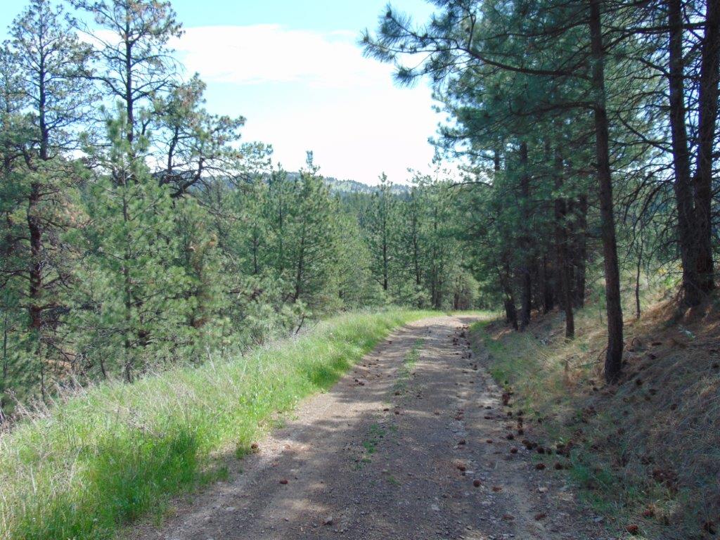 19 Lookout Lane Property Photo 8