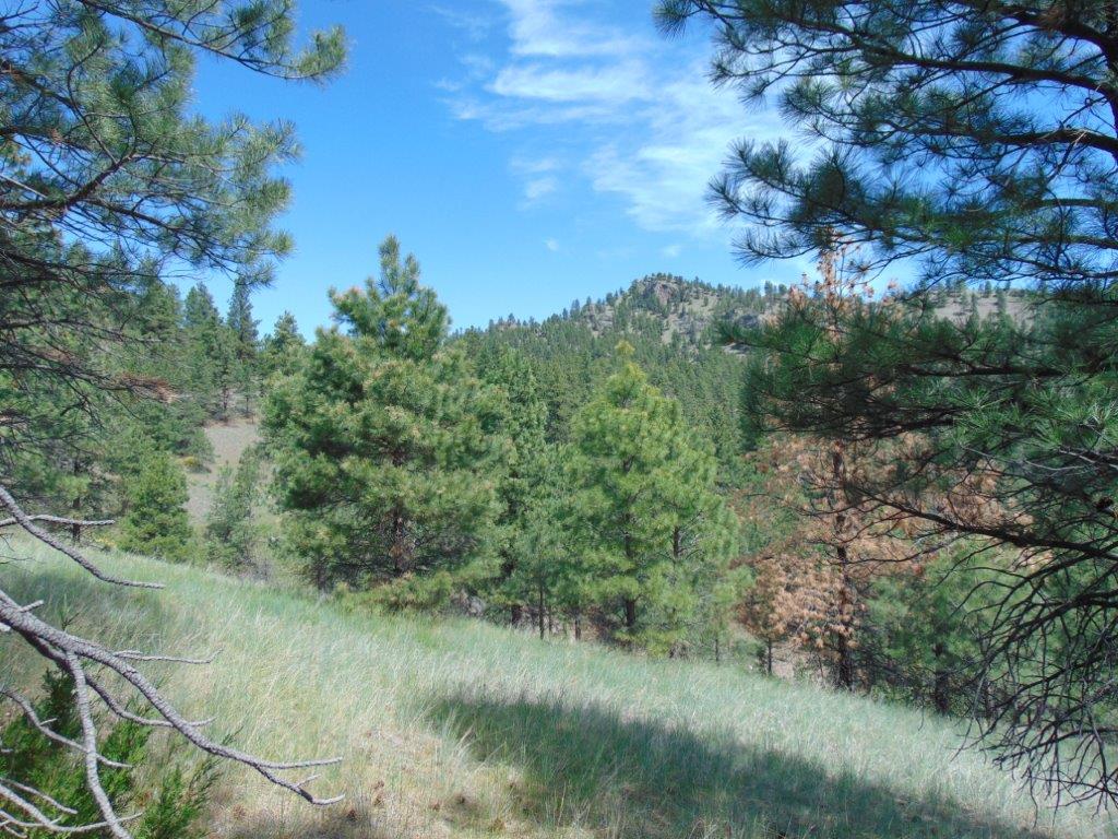 19 Lookout Lane Property Photo 11