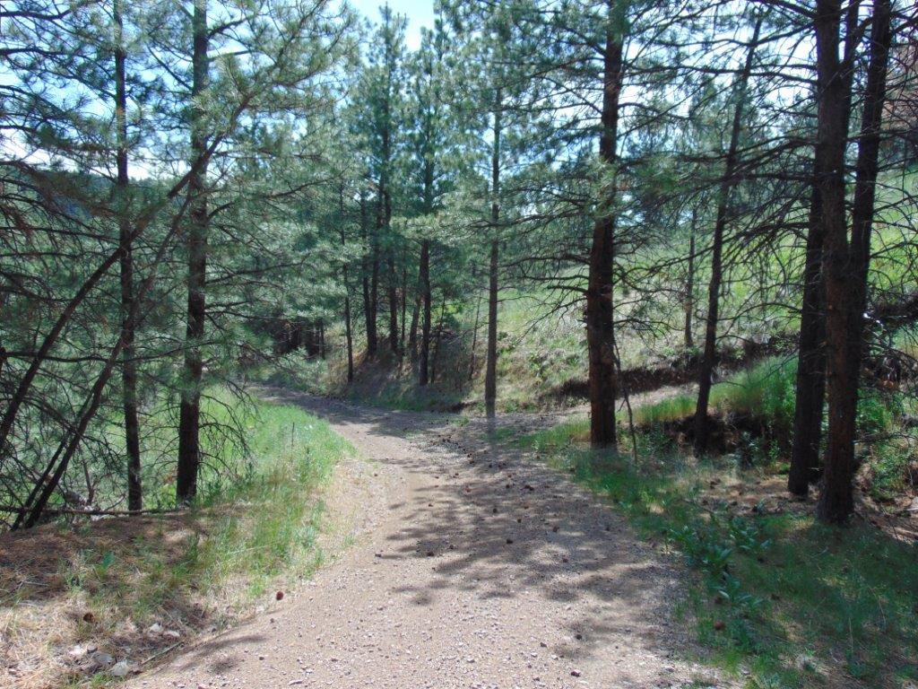 19 Lookout Lane Property Photo 12
