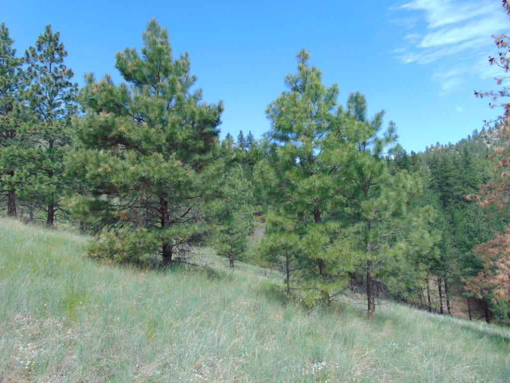 19 Lookout Lane Property Photo 13