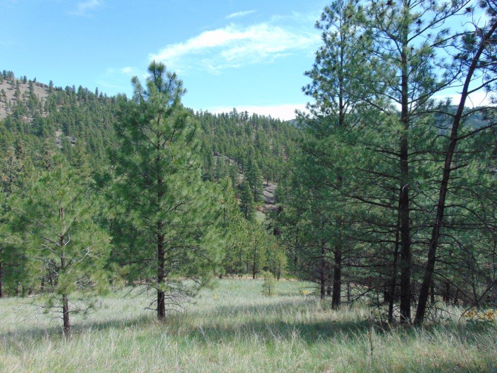 19 Lookout Lane Property Photo 14