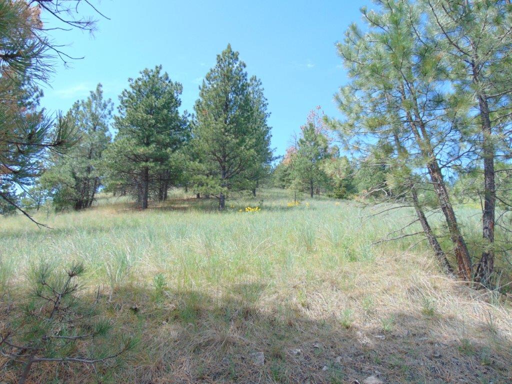 19 Lookout Lane Property Photo 16