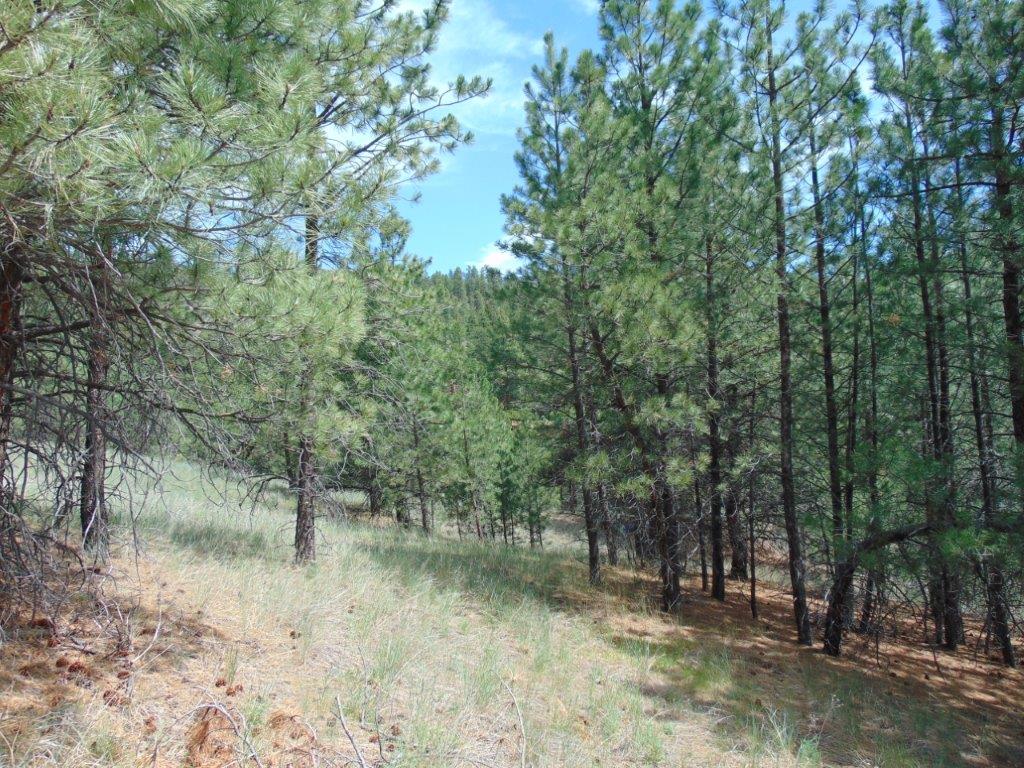19 Lookout Lane Property Photo 17