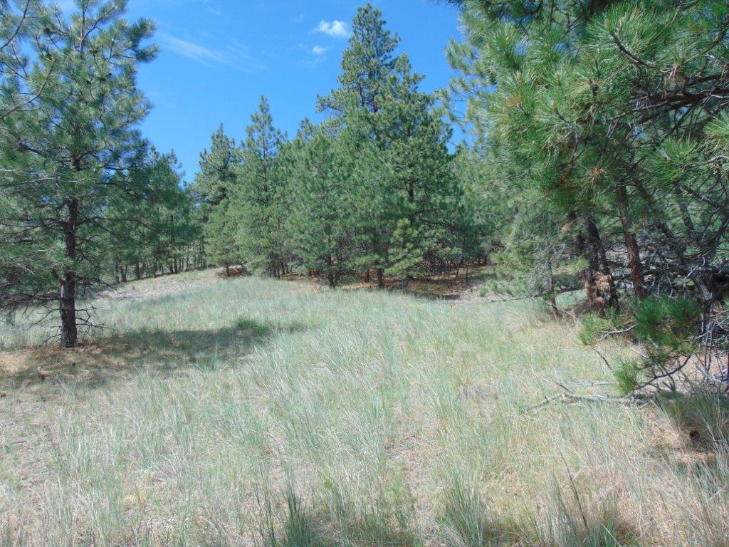 19 Lookout Lane Property Photo 18
